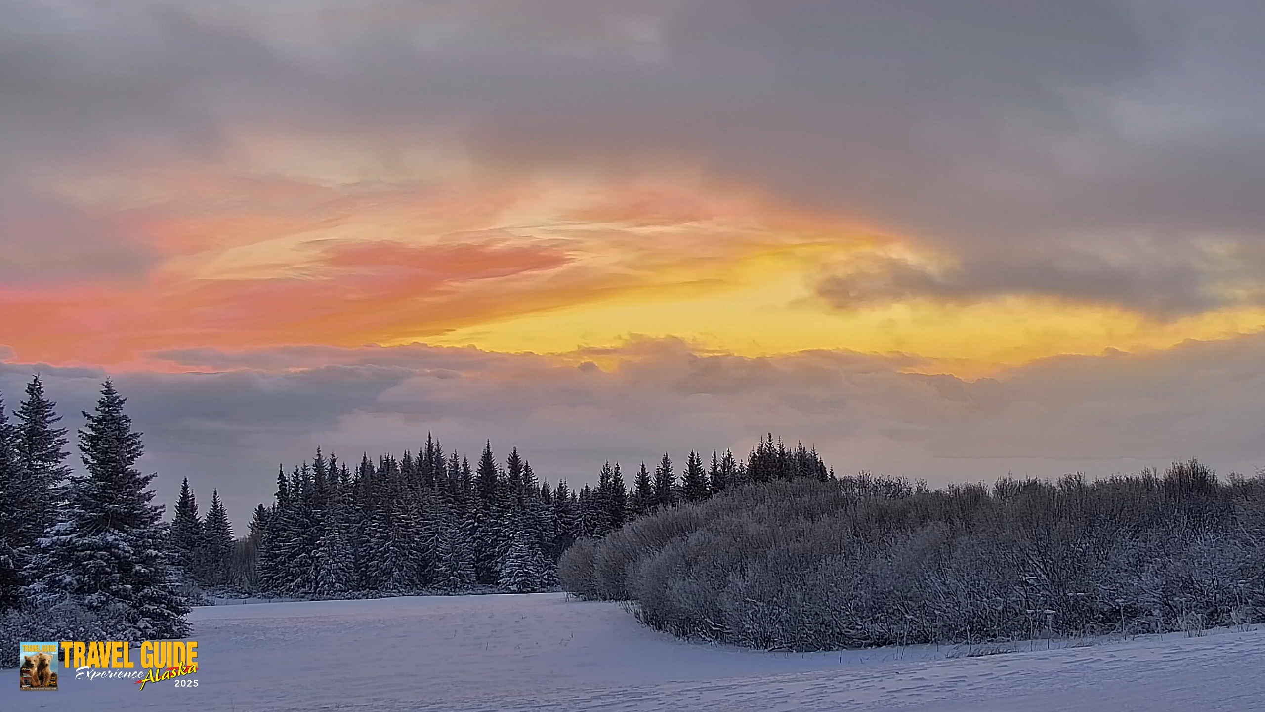 Snapshot of Inspiration Ridge - Homer Alaska Live Webcam taken Jan 14, 2026, 9:38am AKST