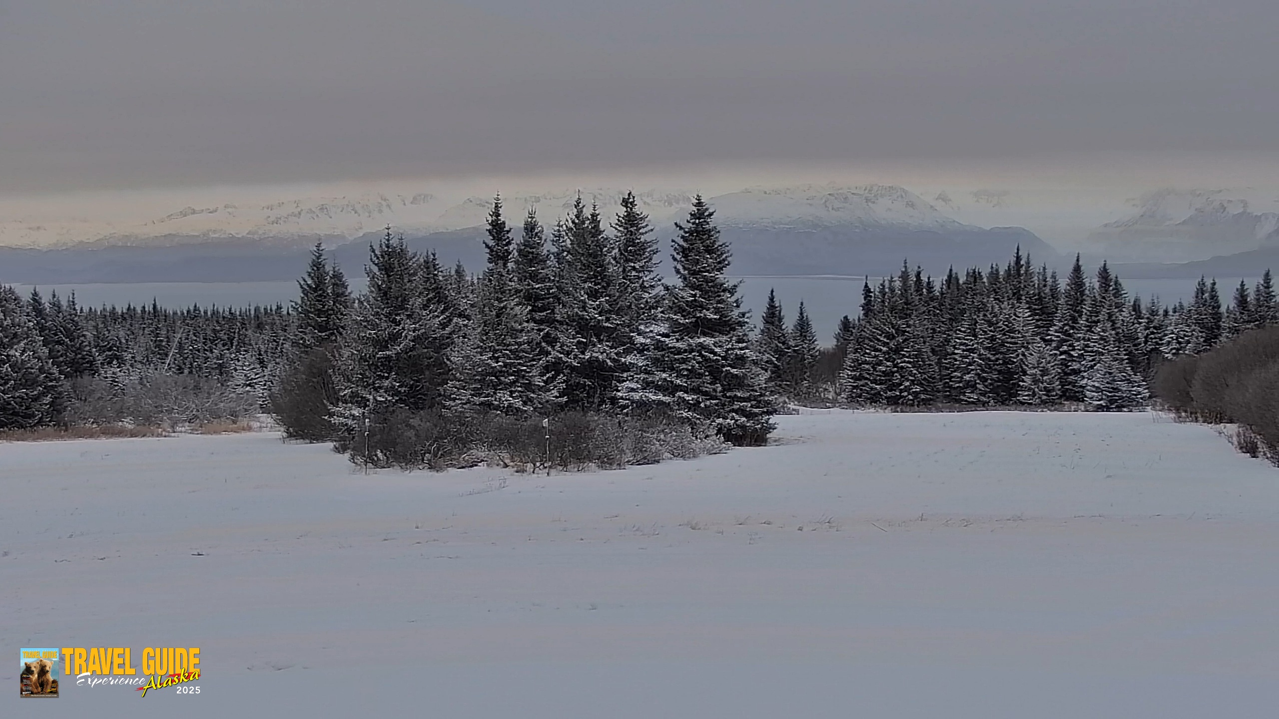 Snapshot of Inspiration Ridge - Homer Alaska Live Webcam taken Jan 5, 2026, 10:29am AKST
