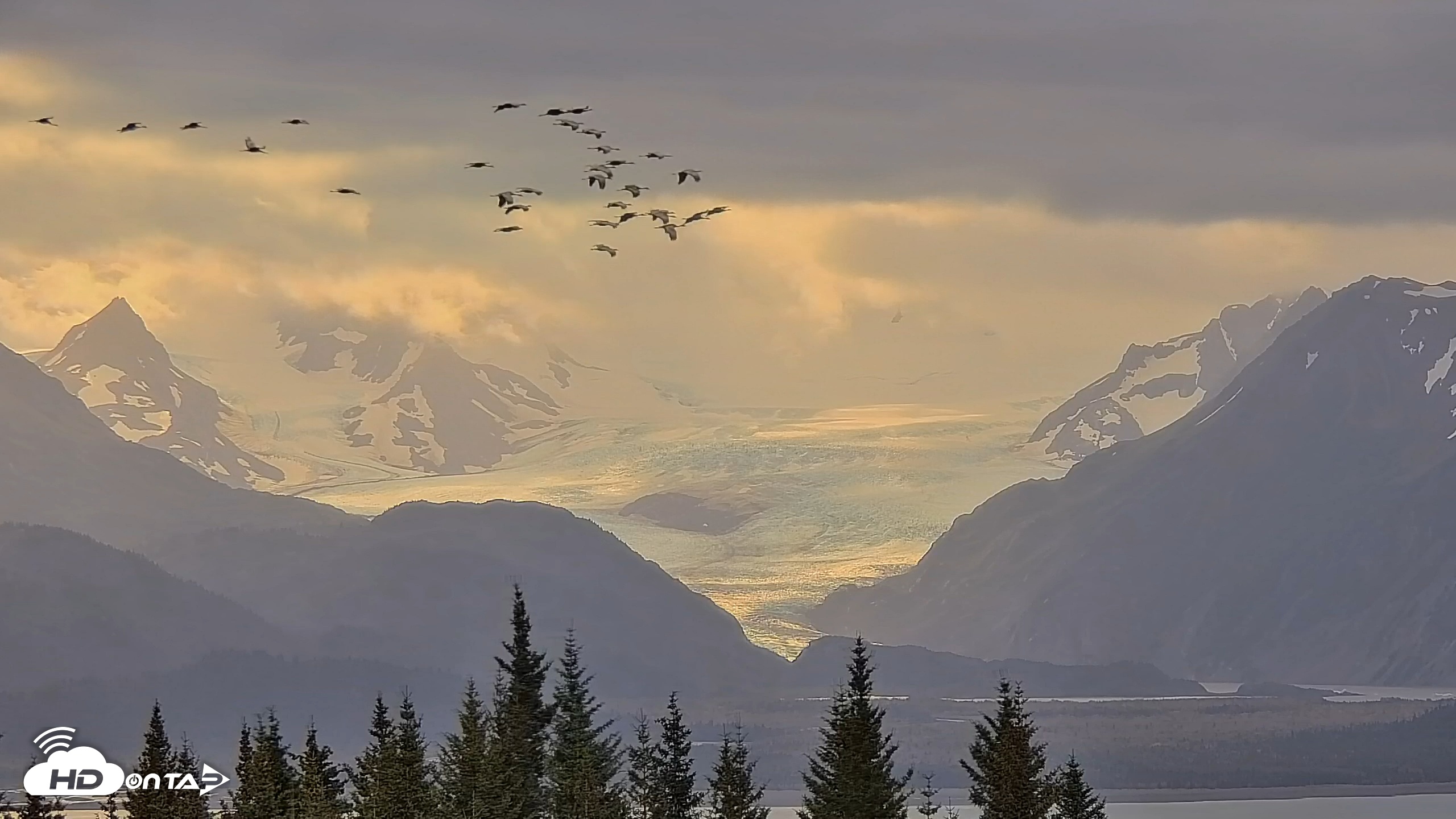 Snapshot of Inspiration Ridge - Homer Alaska Live Webcam taken Sep 7, 2025, 10:01am AKDT