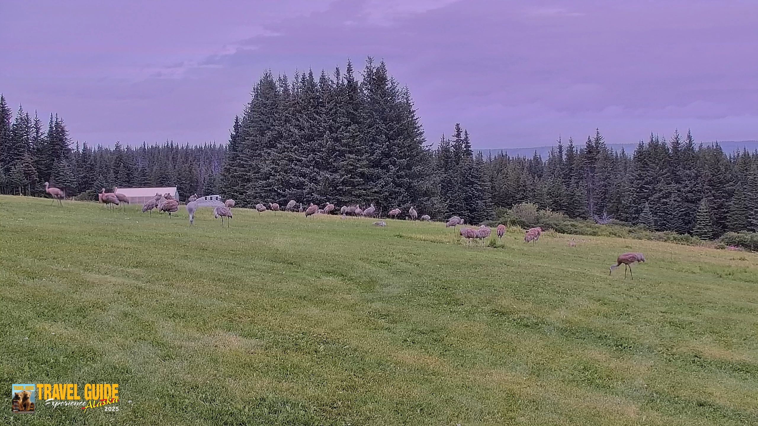 Snapshot of Inspiration Ridge - Homer Alaska Live Webcam taken Aug 24, 2026, 4:56pm AKDT