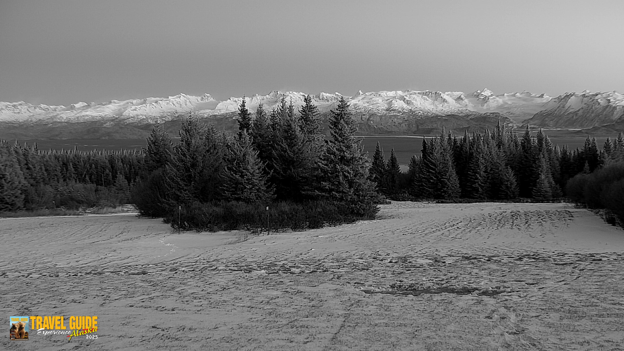 Snapshot of Inspiration Ridge - Homer Alaska Live Webcam taken Dec 31, 2025, 4:51pm AKST
