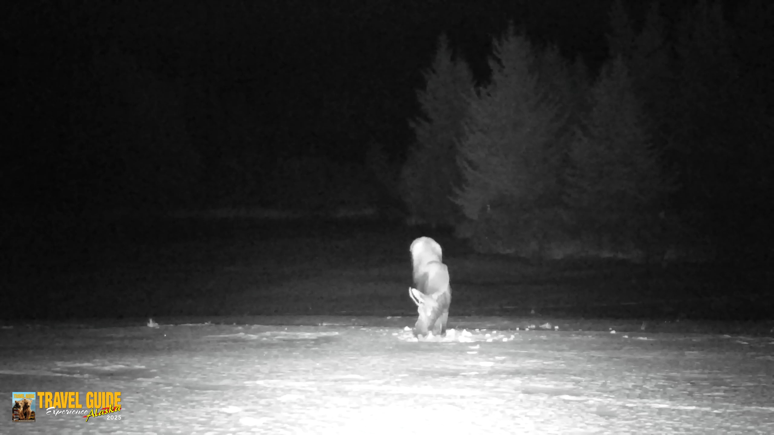 Snapshot of Inspiration Ridge - Homer Alaska Live Webcam taken Jan 21, 2026, 10:51pm AKST