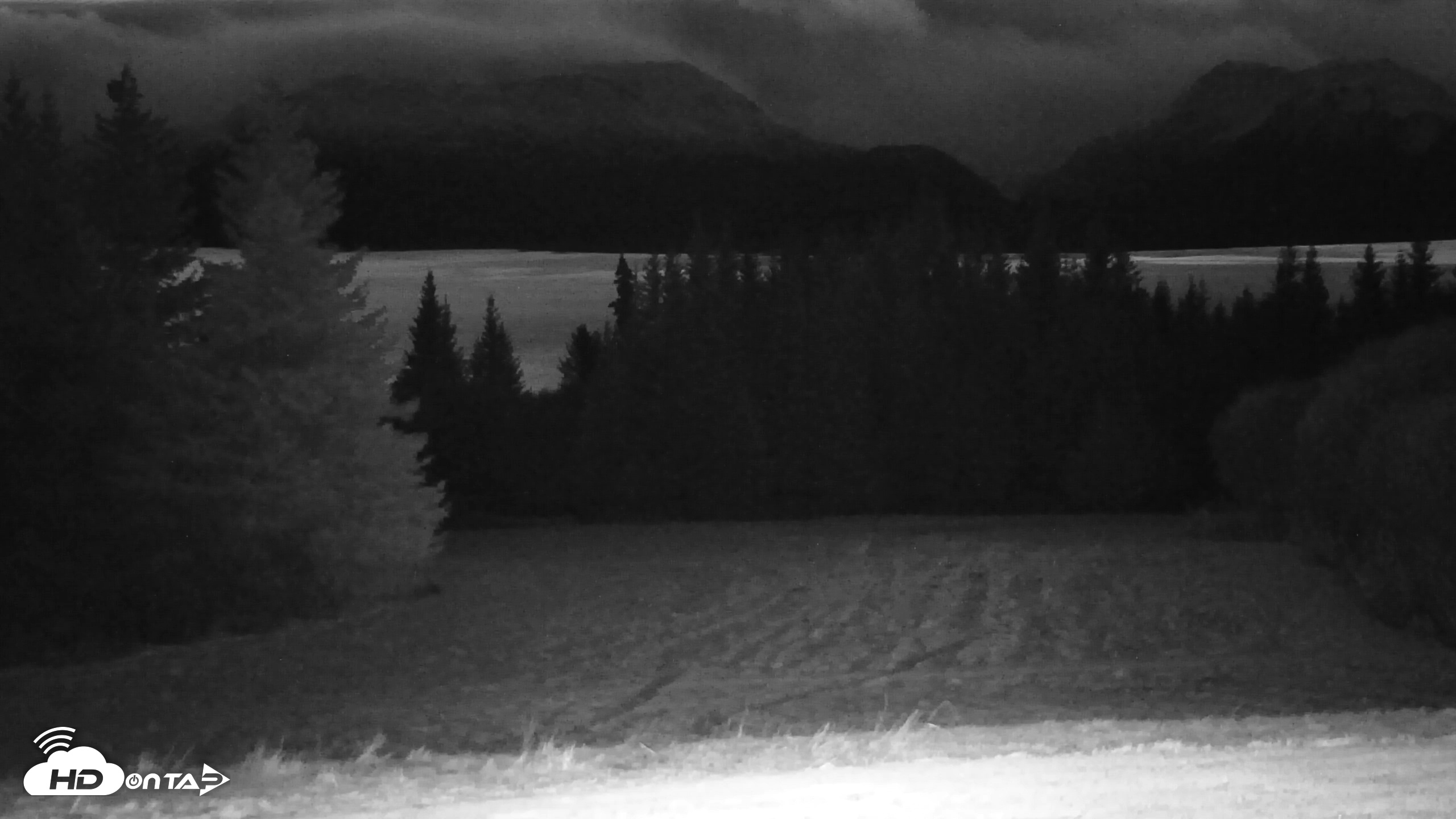 Snapshot of Inspiration Ridge - Homer Alaska Live Webcam taken Dec 2, 2025, 8:29am AKST