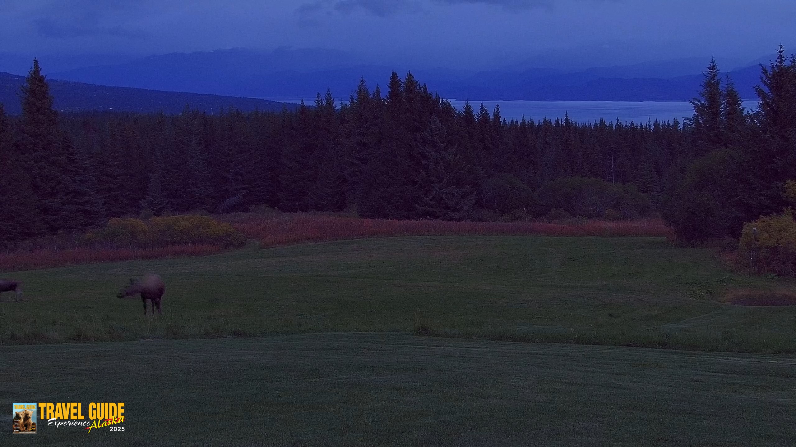 Snapshot of Inspiration Ridge - Homer Alaska Live Webcam taken Sep 25, 2026, 9:04pm AKDT