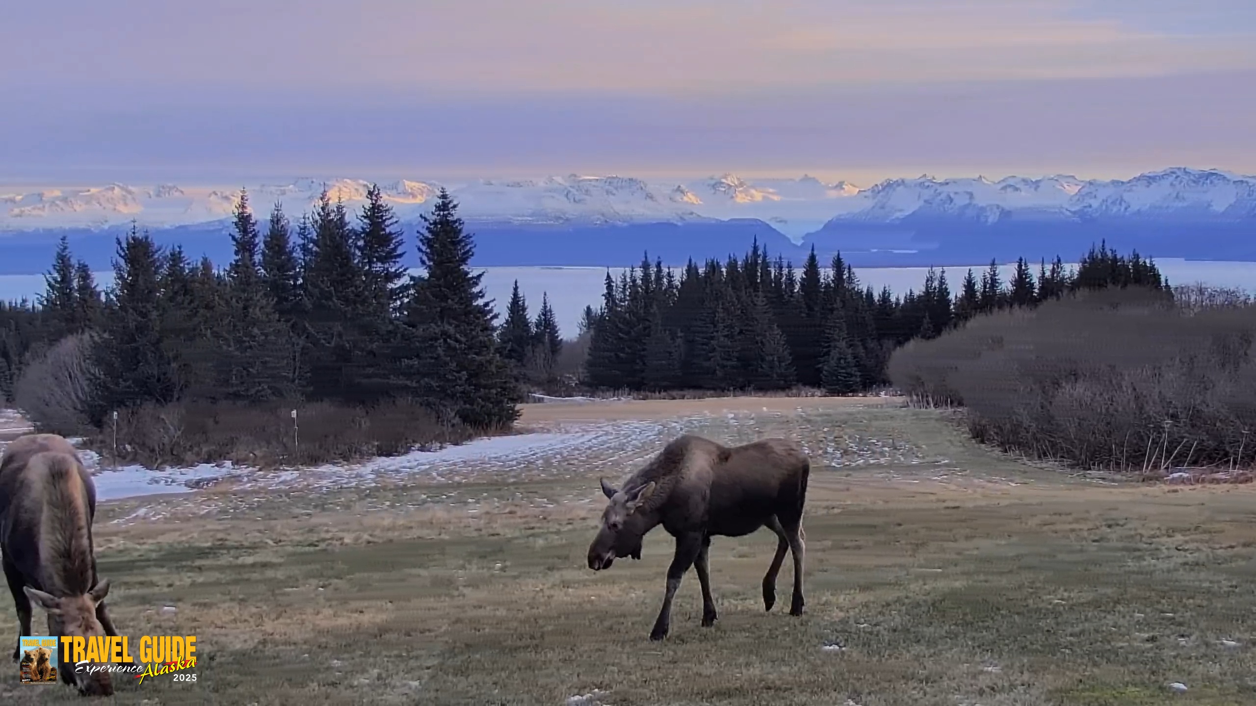 Snapshot of Inspiration Ridge - Homer Alaska Live Webcam taken Dec 22, 2025, 2:45pm AKST