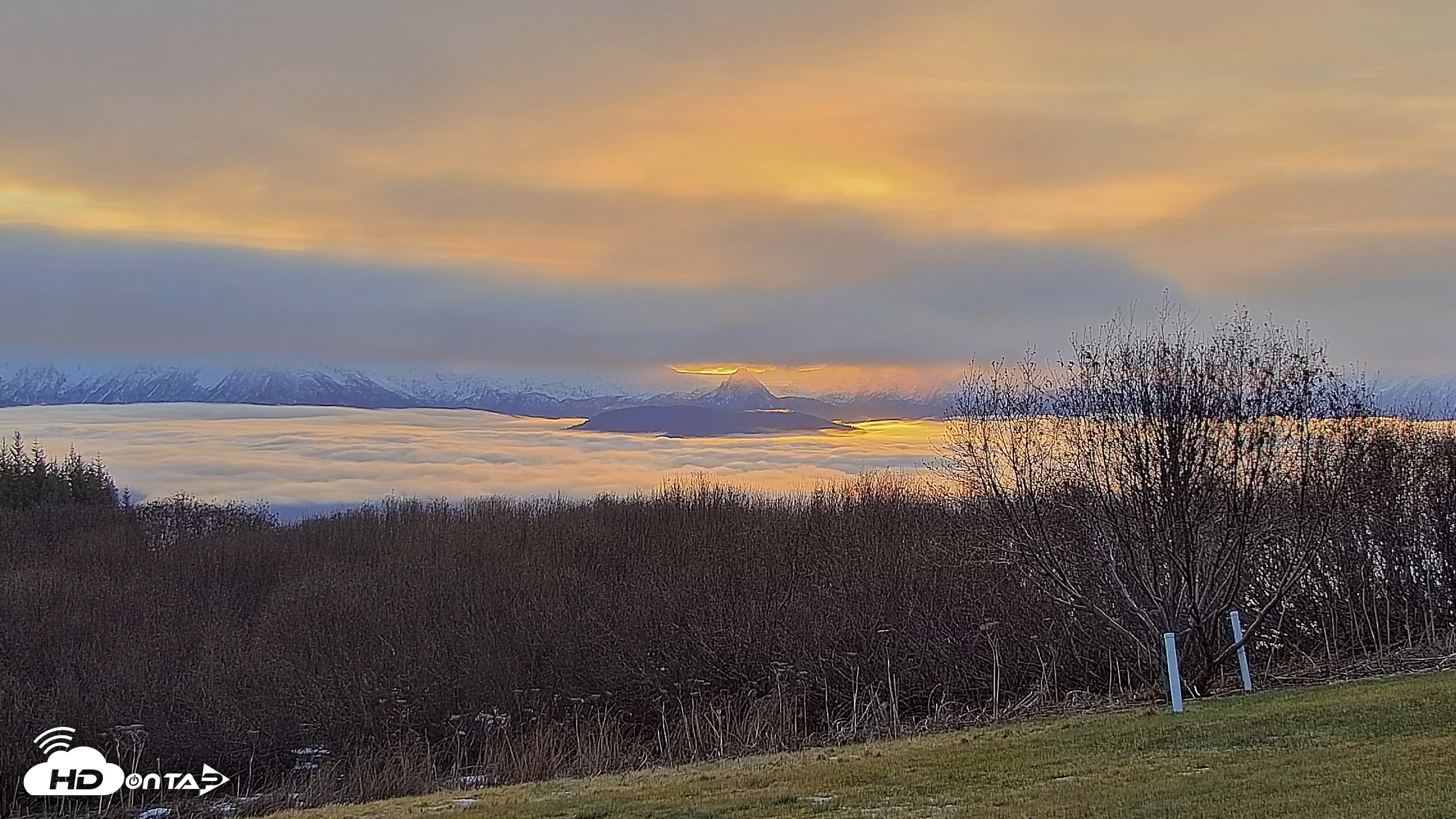 Snapshot of Inspiration Ridge - Homer Alaska Live Webcam taken Dec 4, 2025, 10:40am AKST