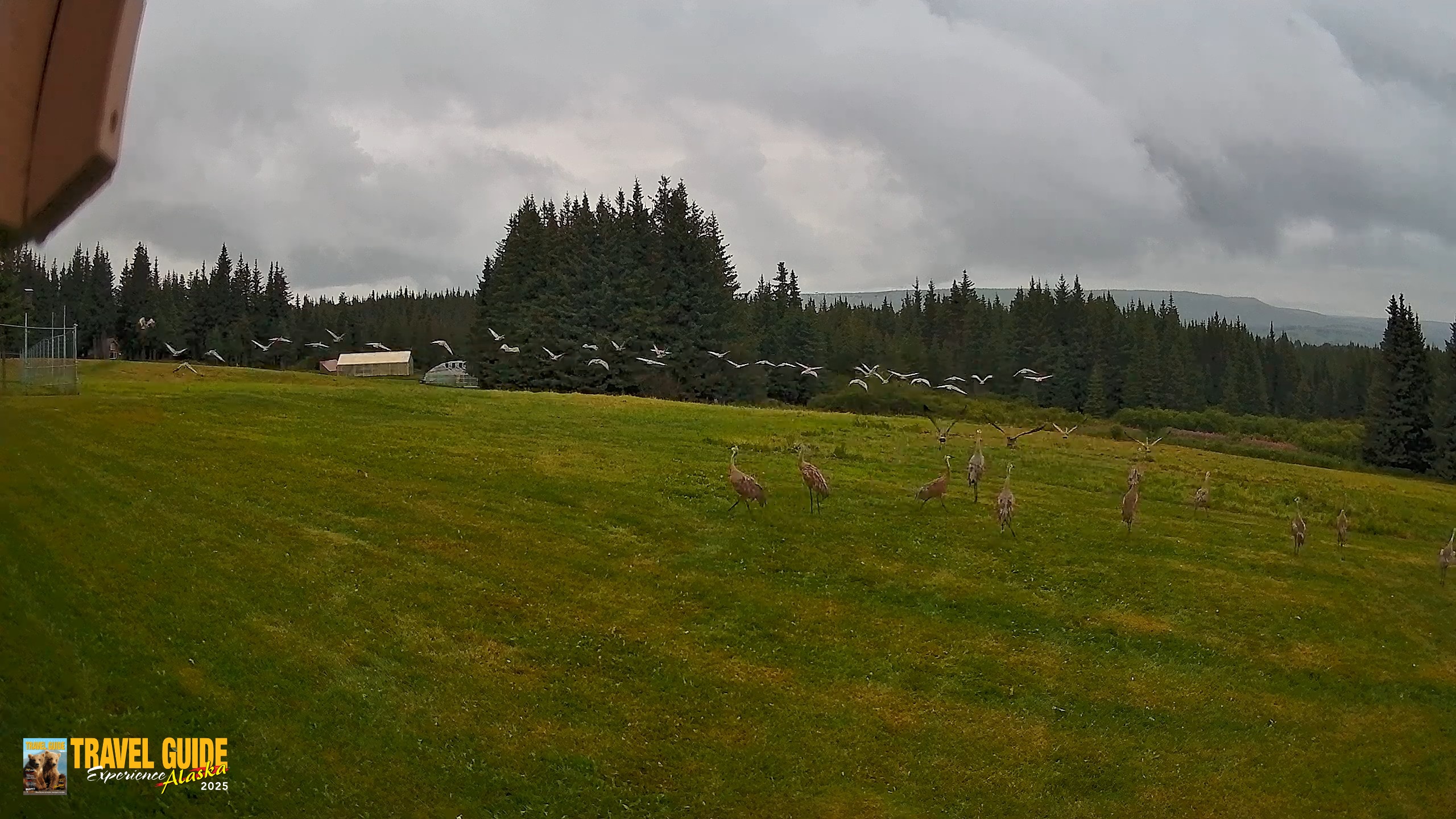 Snapshot of Inspiration Ridge - Homer Alaska Live Webcam taken Aug 22, 2026, 8:32pm AKDT