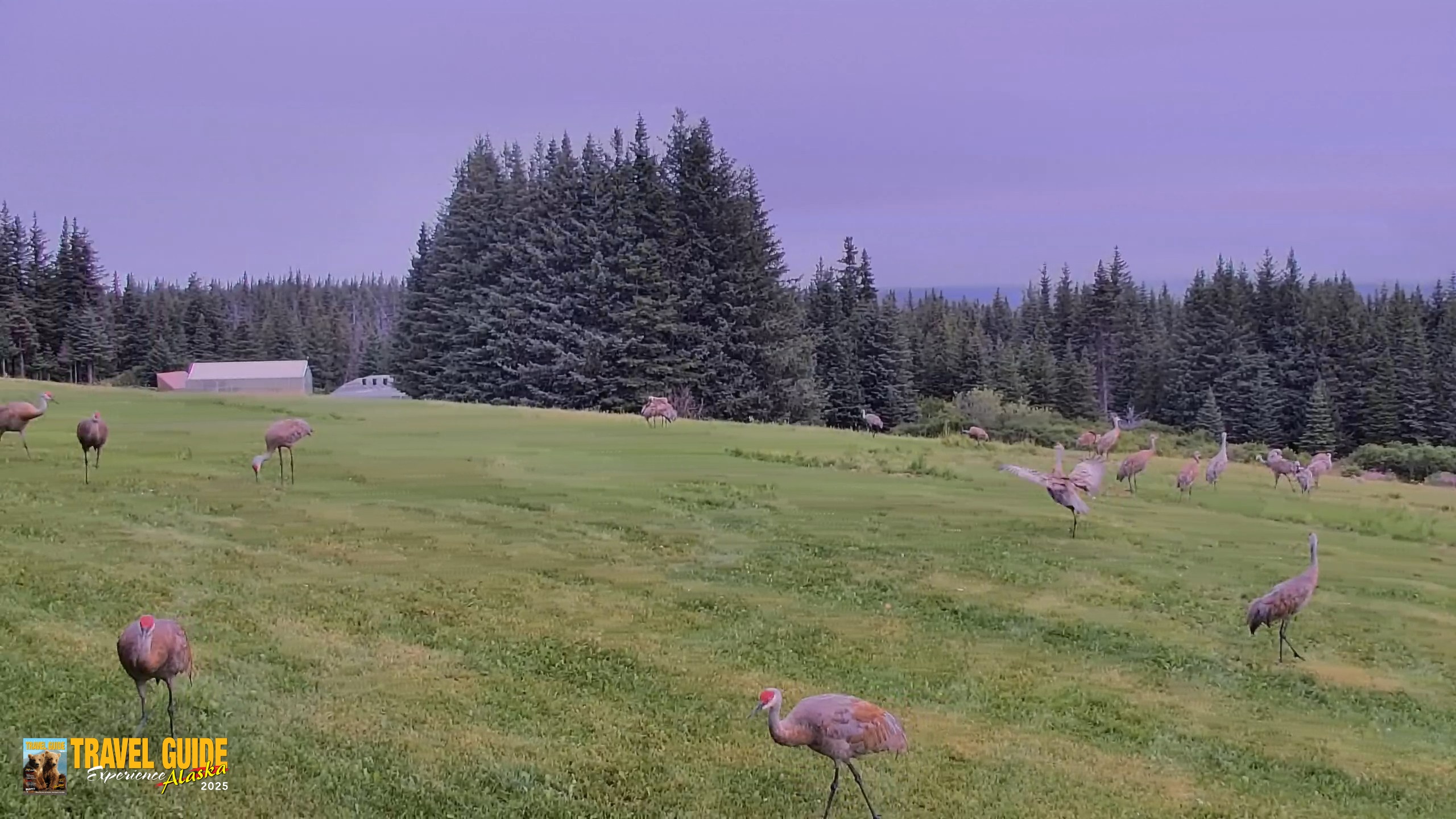 Snapshot of Inspiration Ridge - Homer Alaska Live Webcam taken Aug 21, 2026, 11:11am AKDT