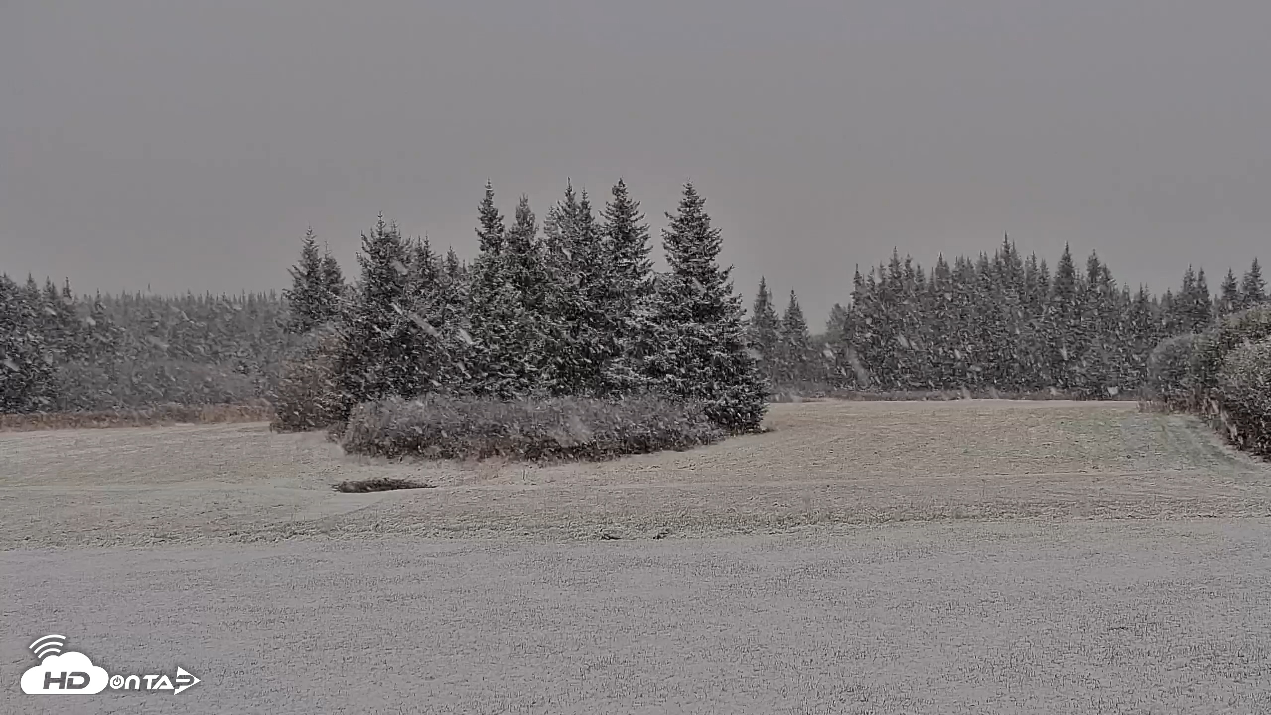 Snapshot of Inspiration Ridge - Homer Alaska Live Webcam taken Oct 20, 2025, 9:35am AKDT