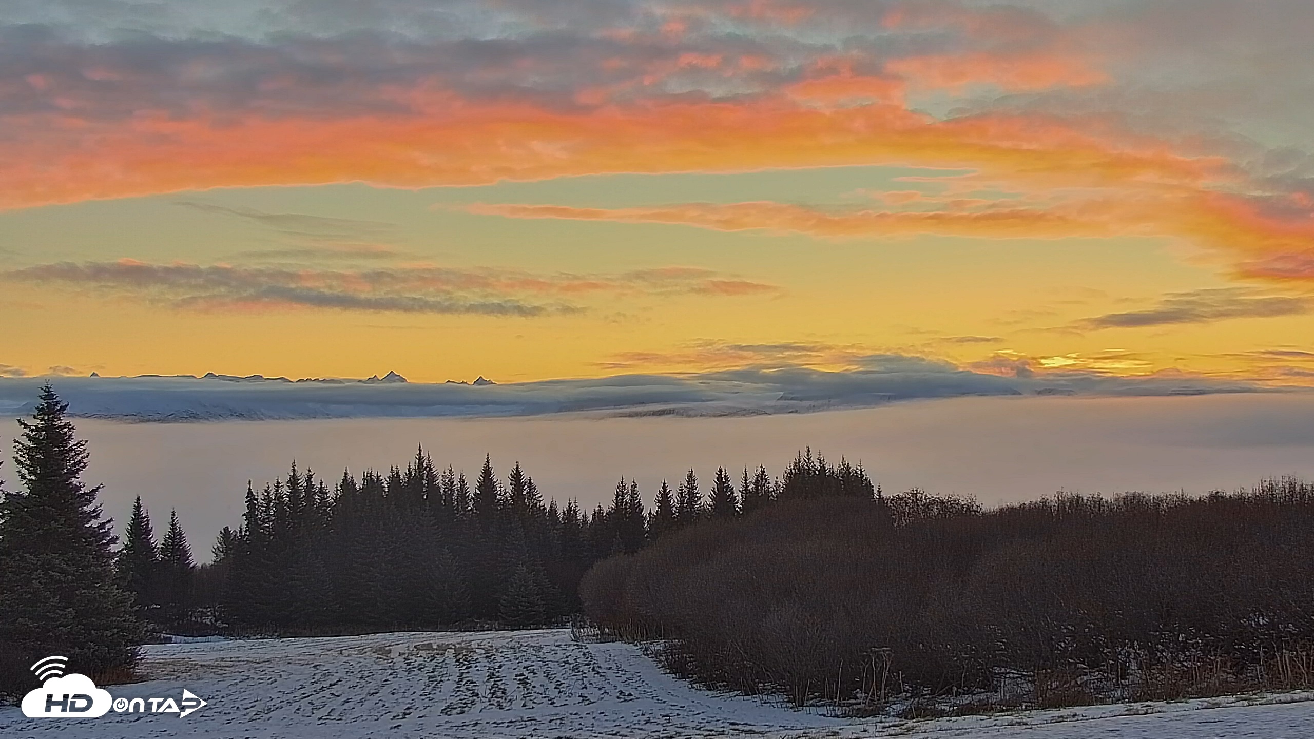 Snapshot of Inspiration Ridge - Homer Alaska Live Webcam taken Nov 28, 2025, 9:42am AKST