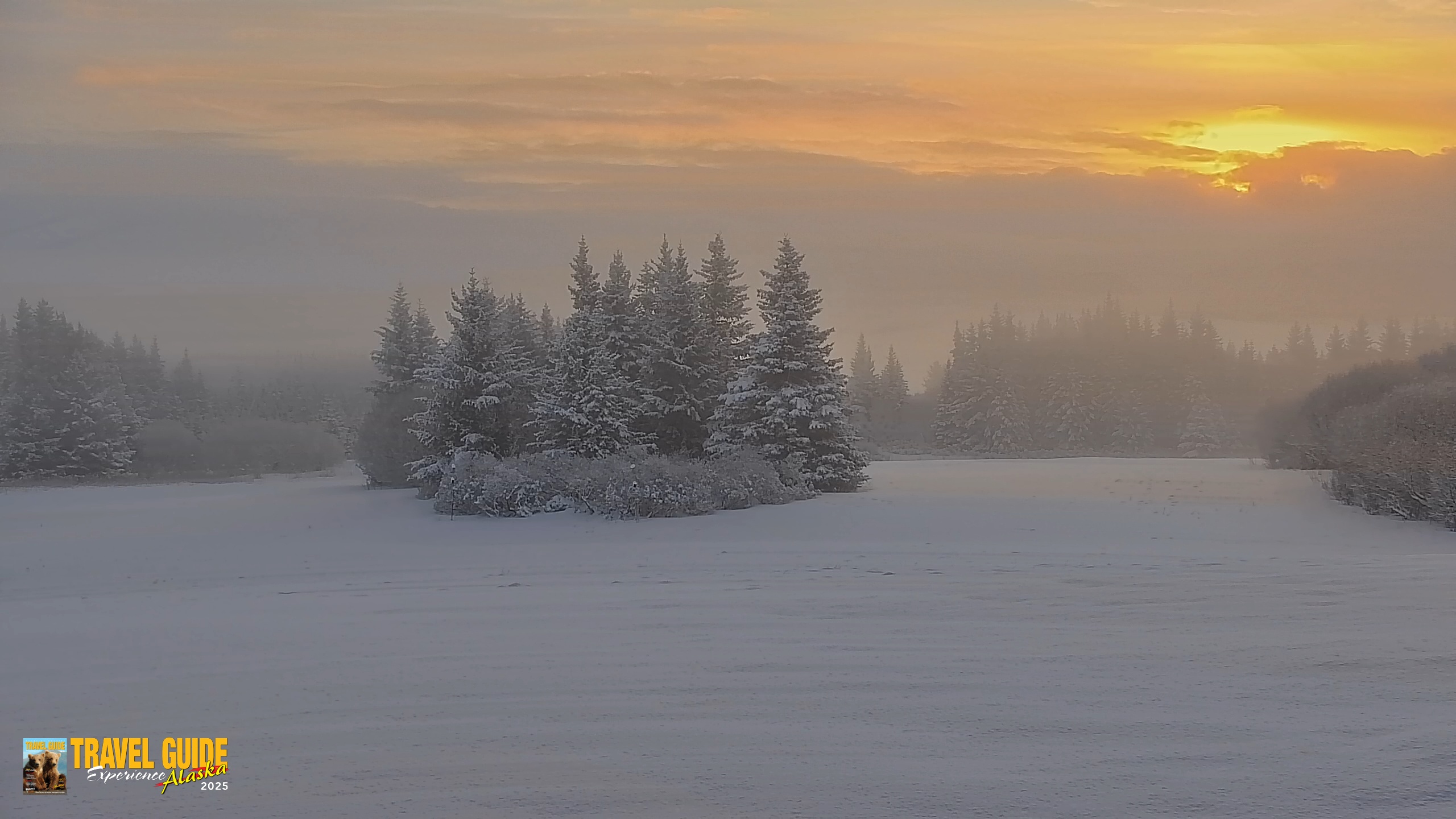 Snapshot of Inspiration Ridge - Homer Alaska Live Webcam taken Feb 12, 2026, 9:15am AKST