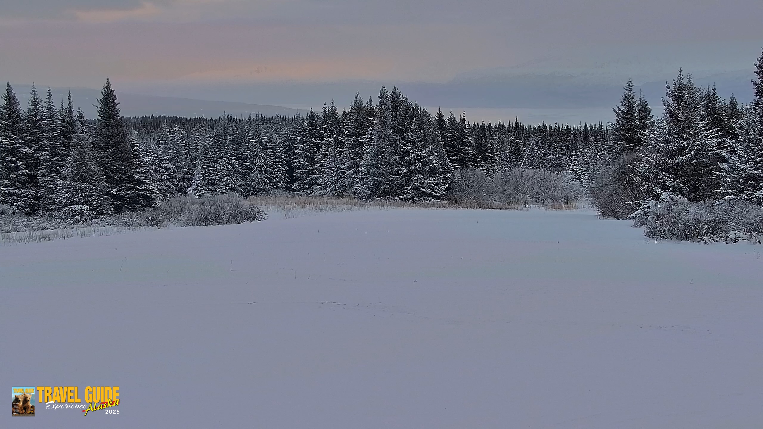 Snapshot of Inspiration Ridge - Homer Alaska Live Webcam taken Jan 14, 2026, 4:15pm AKST