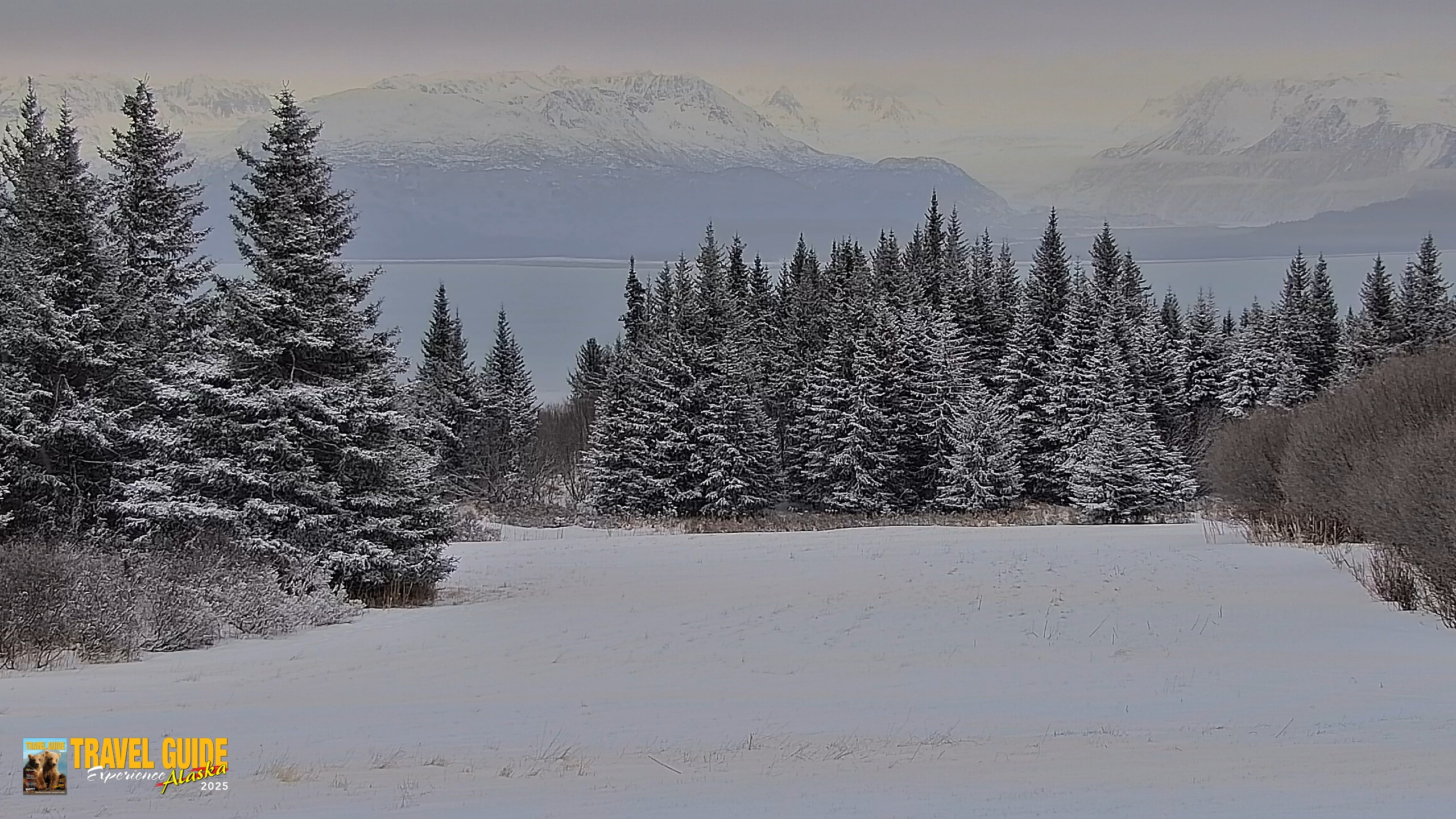 Snapshot of Inspiration Ridge - Homer Alaska Live Webcam taken Jan 5, 2026, 10:30am AKST