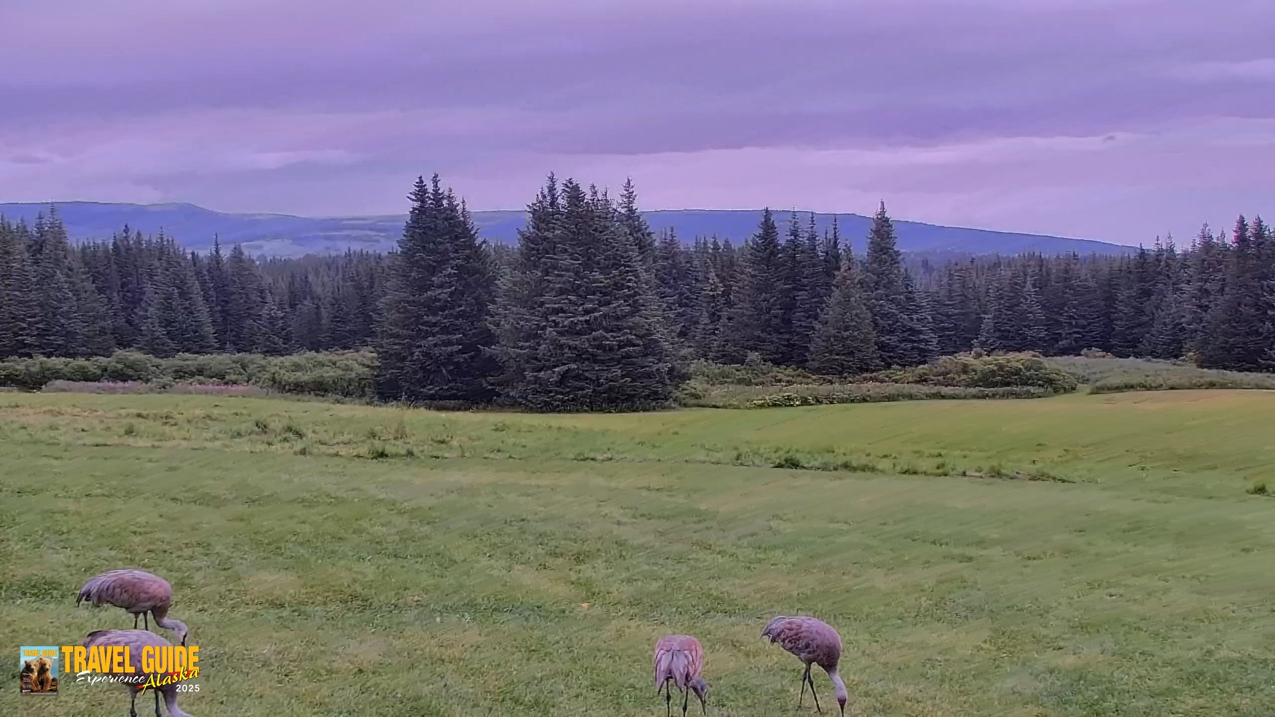 Snapshot of Inspiration Ridge - Homer Alaska Live Webcam taken Aug 28, 2026, 12:59pm AKDT