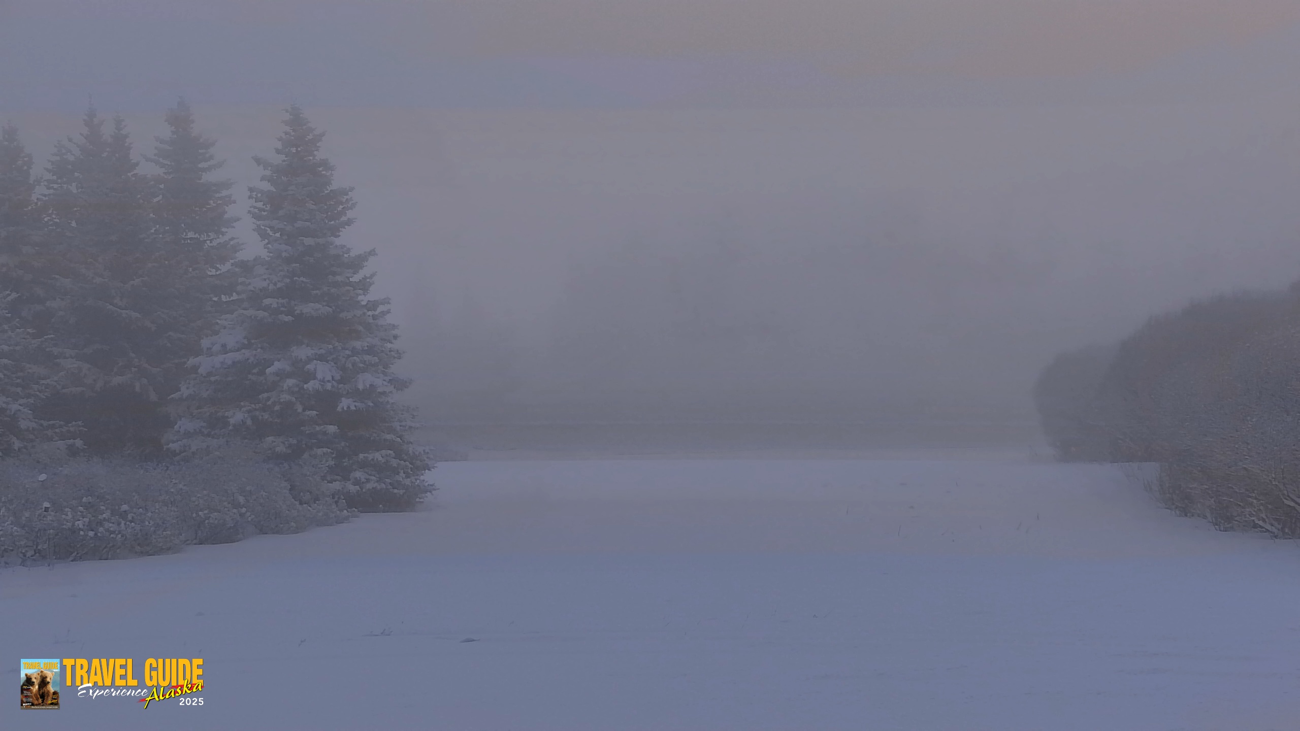 Snapshot of Inspiration Ridge - Homer Alaska Live Webcam taken Feb 12, 2026, 8:40am AKST