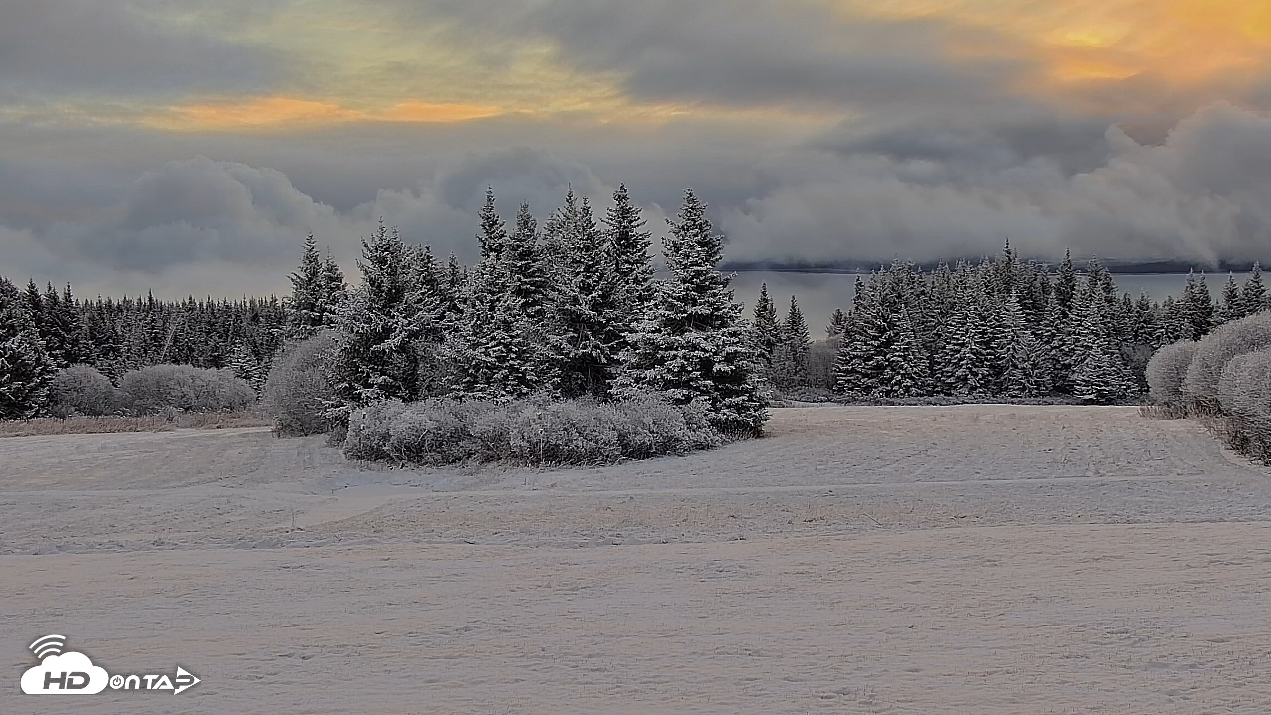 Snapshot of Inspiration Ridge - Homer Alaska Live Webcam taken Nov 4, 2025, 9:34am AKST