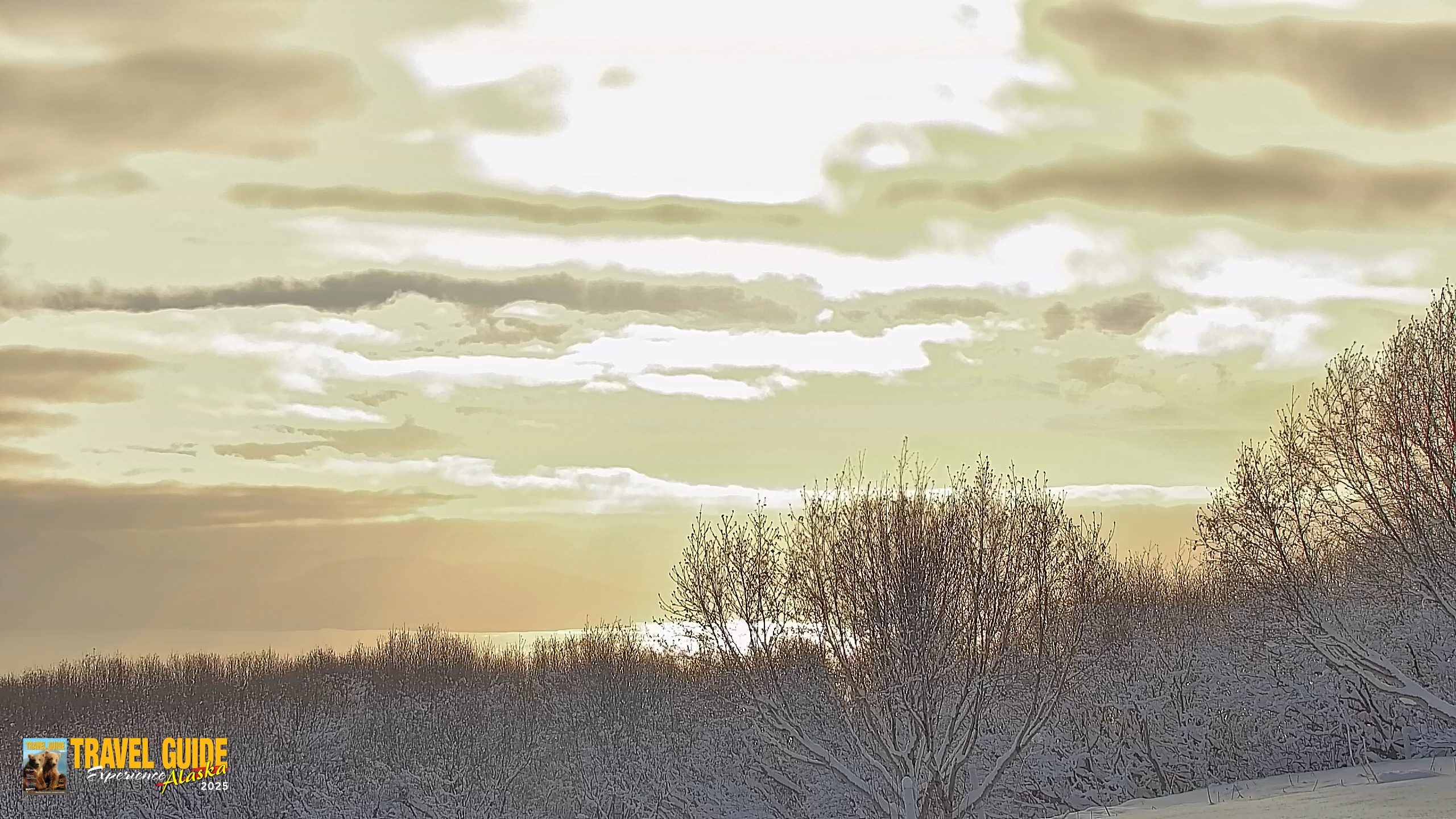 Snapshot of Inspiration Ridge - Homer Alaska Live Webcam taken Feb 13, 2026, 11:33am AKST