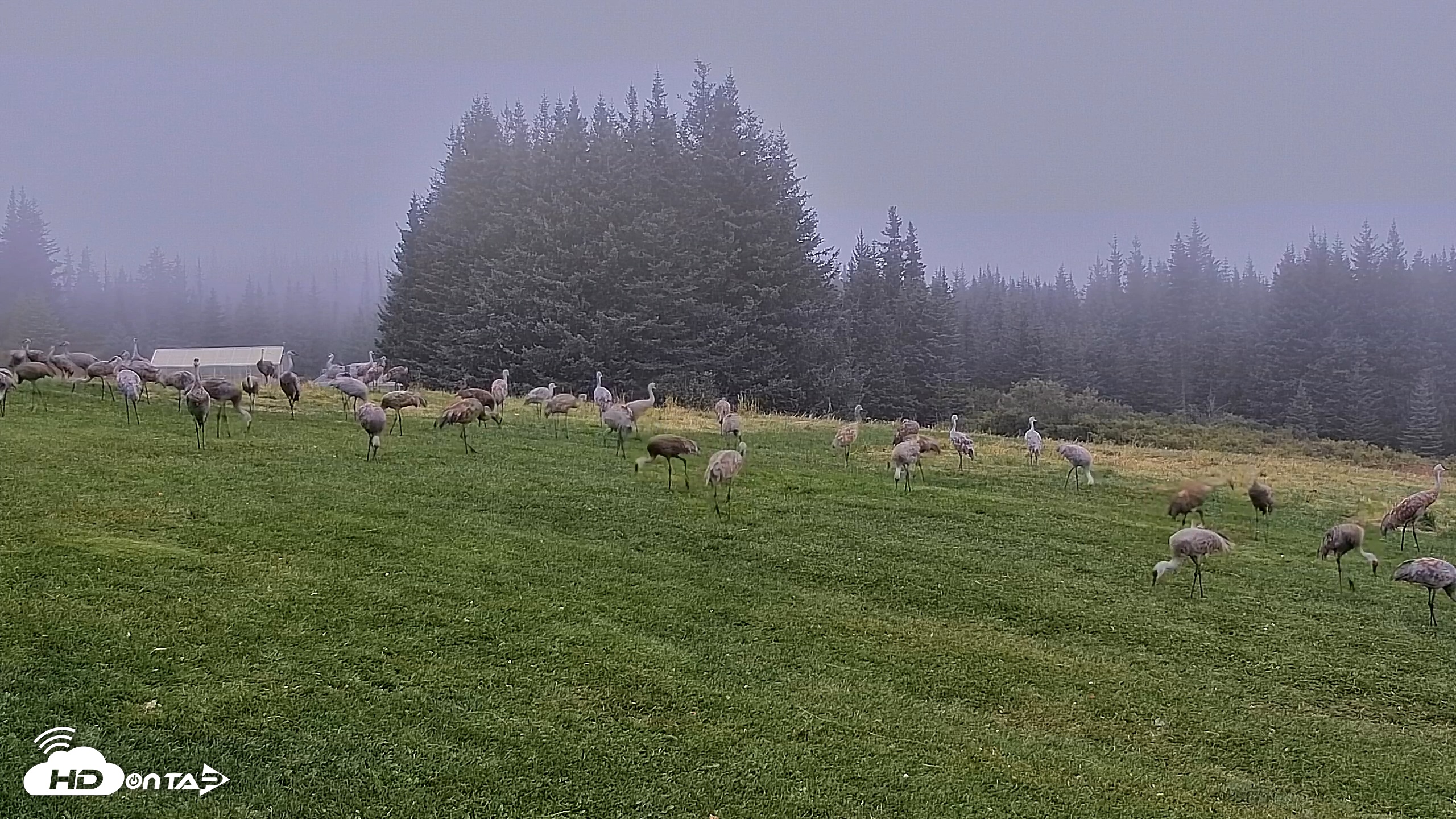 Snapshot of Inspiration Ridge - Homer Alaska Live Webcam taken Sep 5, 2025, 7:27am AKDT