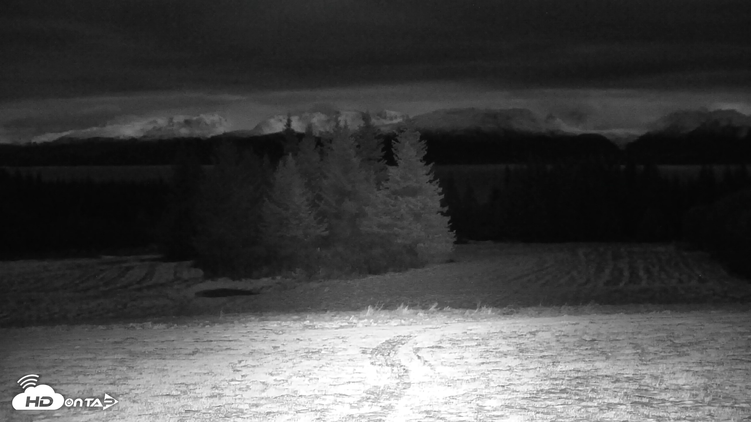 Snapshot of Inspiration Ridge - Homer Alaska Live Webcam taken Dec 1, 2025, 11:12pm AKST