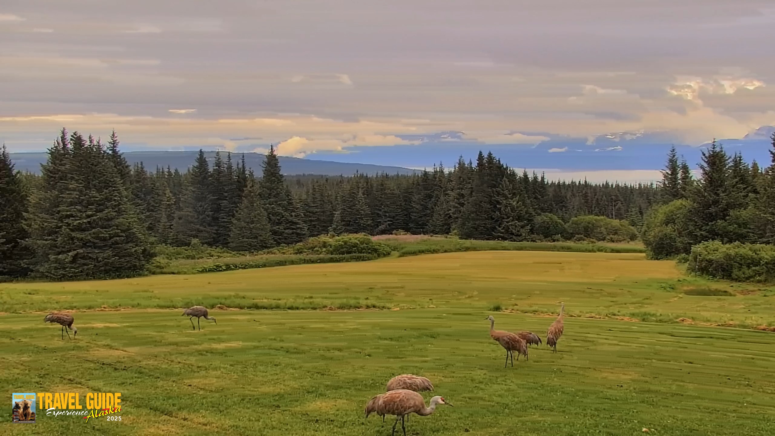 Snapshot of Inspiration Ridge - Homer Alaska Live Webcam taken Aug 19, 2026, 7:03pm AKDT