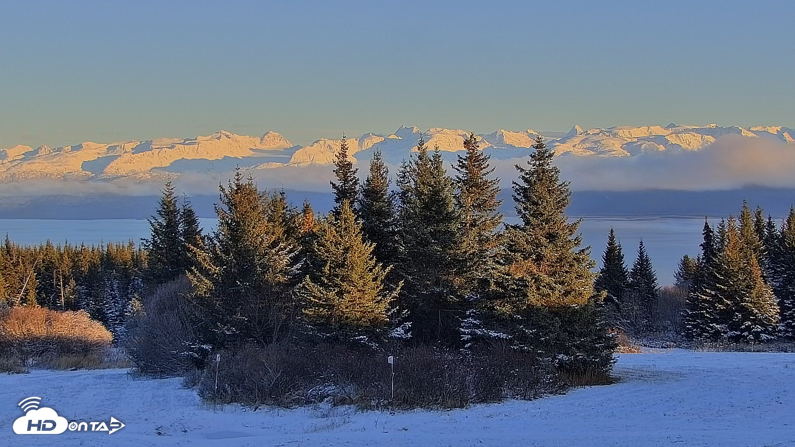 Snapshot of Inspiration Ridge - Homer Alaska Live Webcam taken Nov 8, 2025, 3:57pm AKST