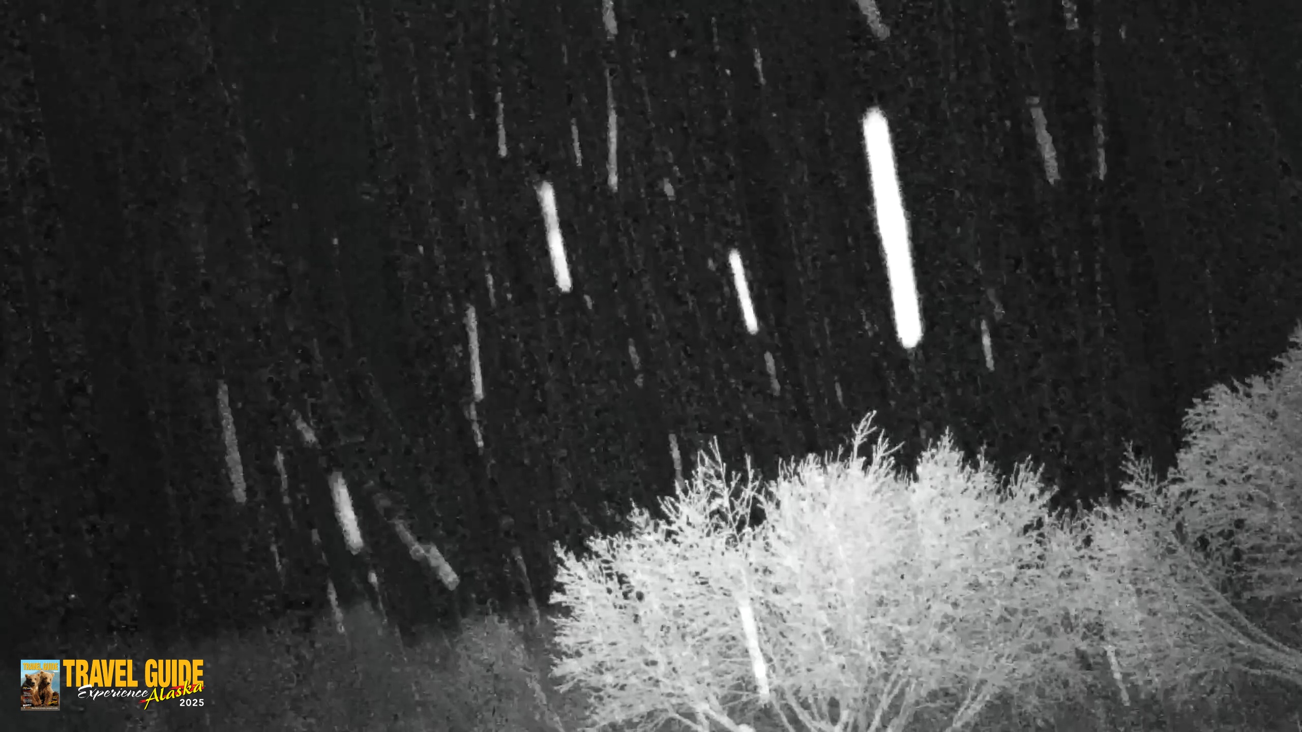 Snapshot of Inspiration Ridge - Homer Alaska Live Webcam taken Jan 13, 2026, 7:05am AKST