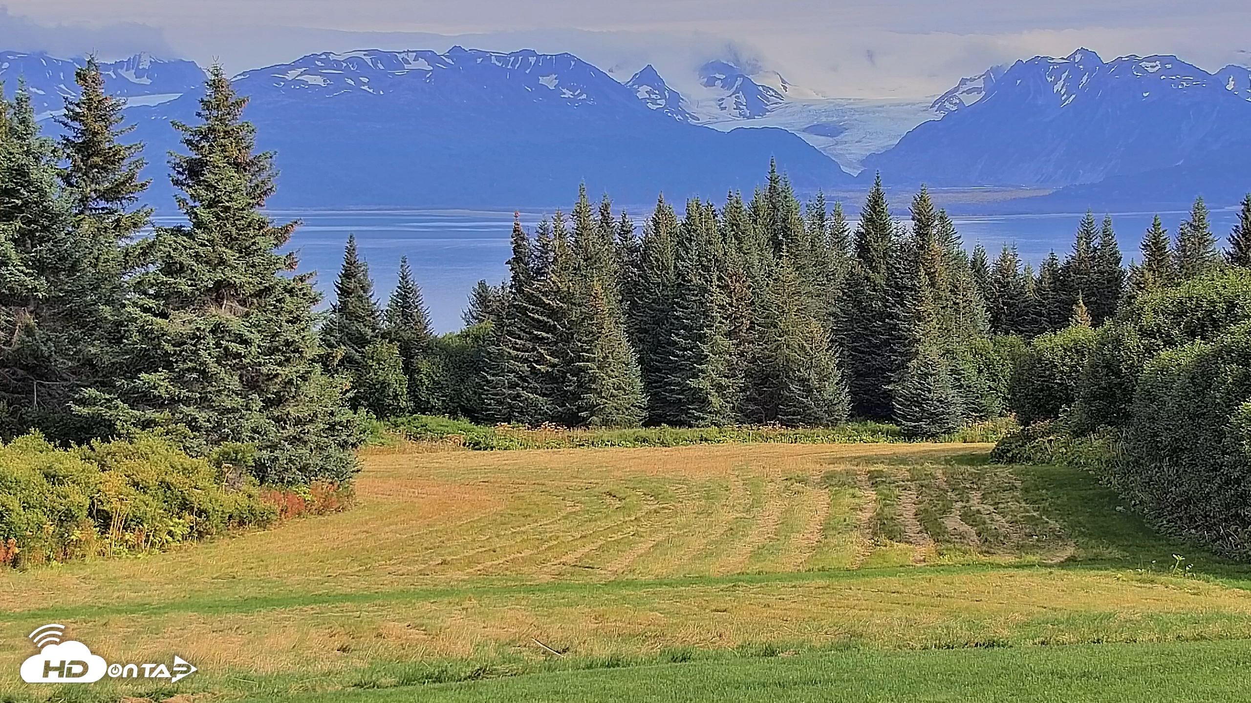 Snapshot of Inspiration Ridge - Homer Alaska Live Webcam taken Aug 31, 2025, 5:18pm AKDT