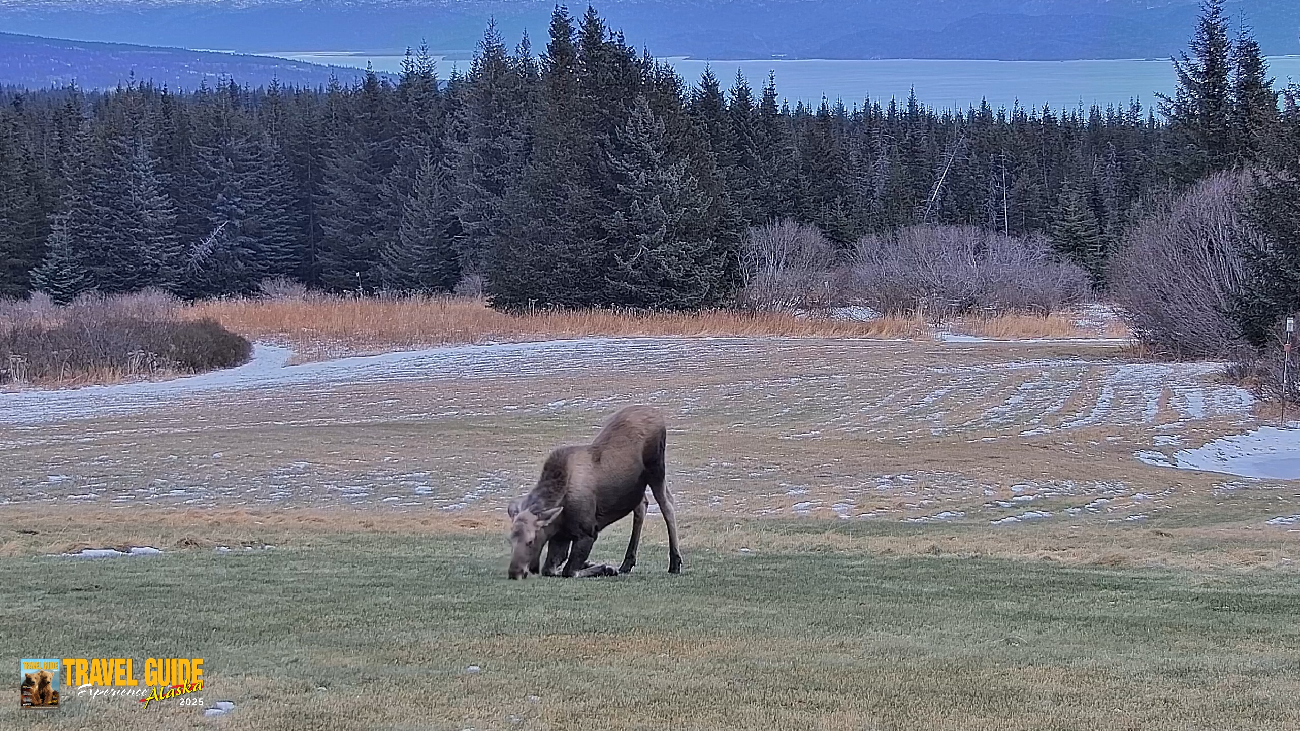 Snapshot of Inspiration Ridge - Homer Alaska Live Webcam taken Dec 22, 2025, 2:52pm AKST