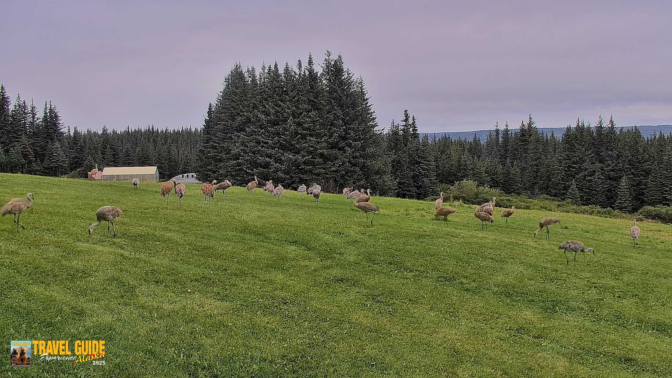 Snapshot of Inspiration Ridge - Homer Alaska Live Webcam taken Aug 28, 2026, 2:26pm AKDT