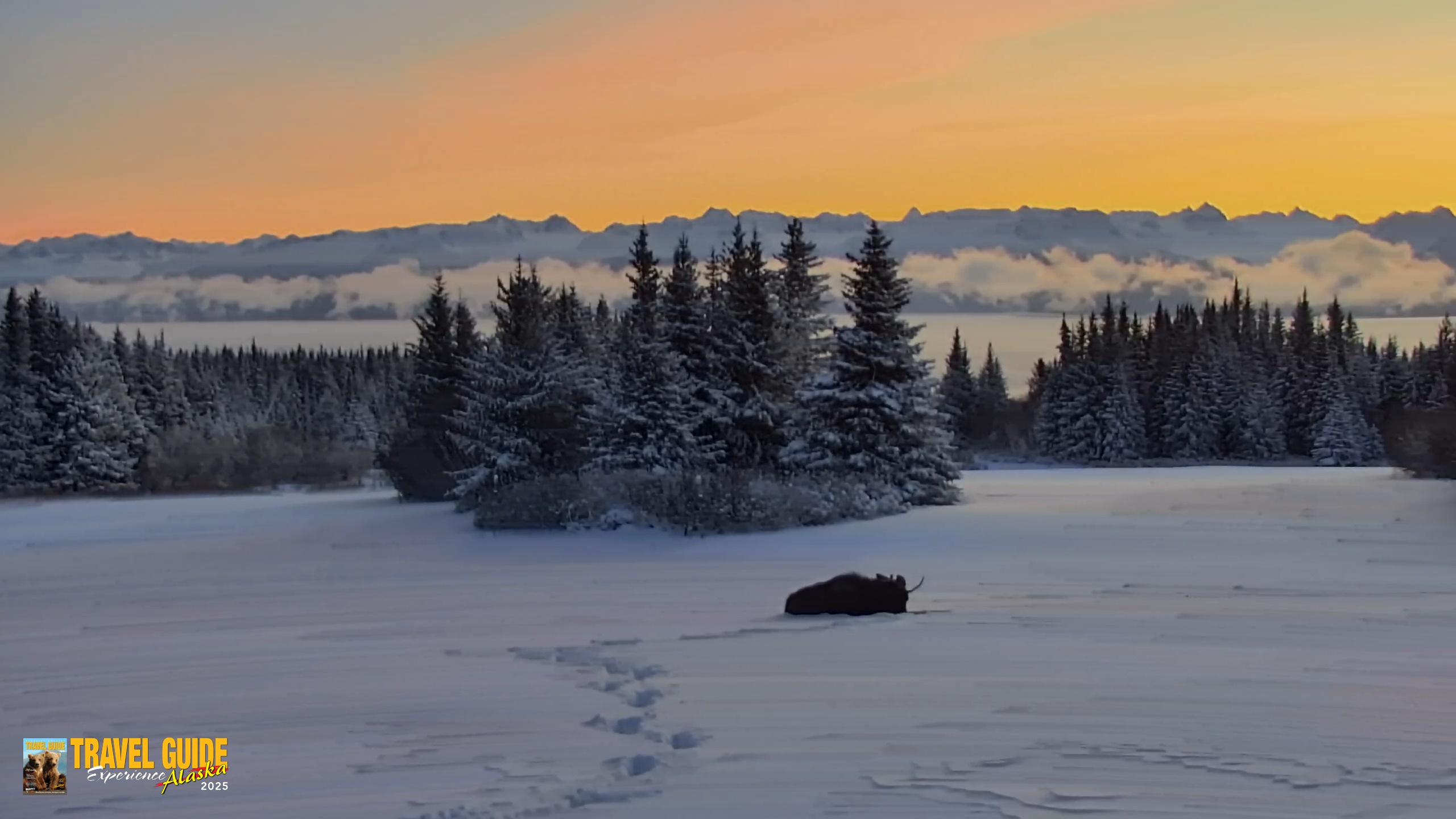 Snapshot of Inspiration Ridge - Homer Alaska Live Webcam taken Jan 8, 2026, 2:16pm AKST