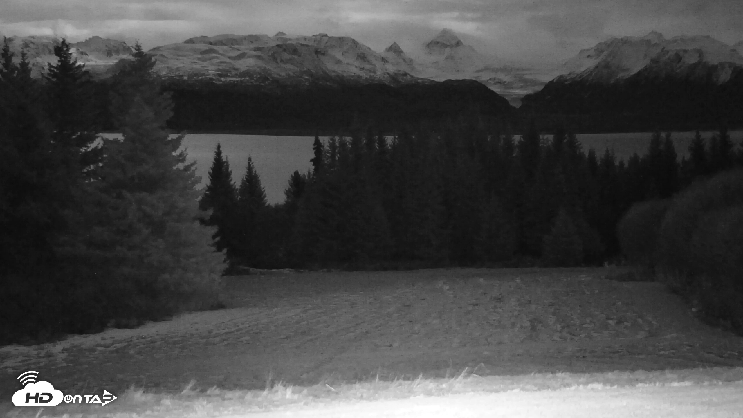 Snapshot of Inspiration Ridge - Homer Alaska Live Webcam taken Dec 3, 2025, 11:30pm AKST