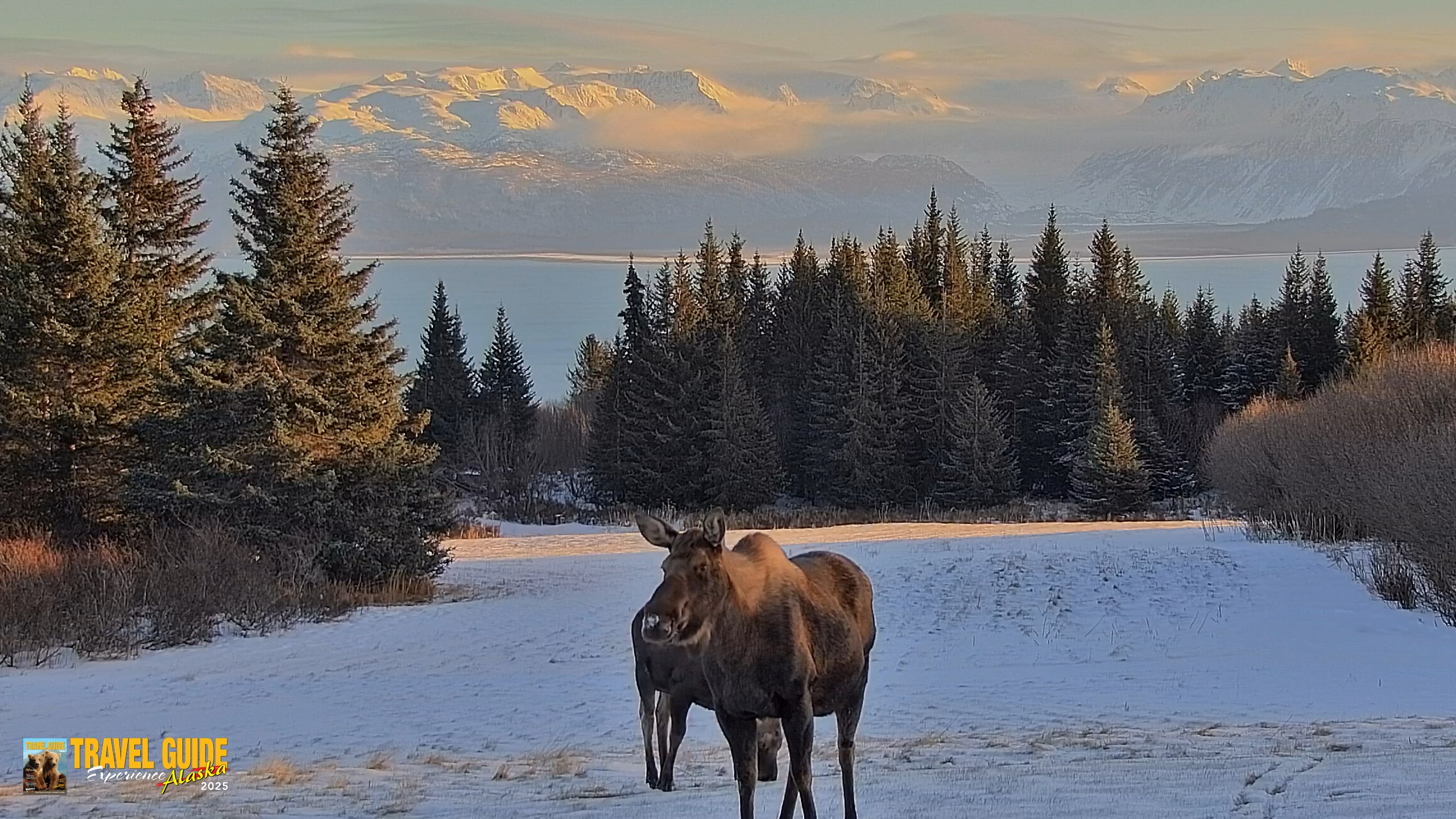 Snapshot of Inspiration Ridge - Homer Alaska Live Webcam taken Dec 30, 2025, 2:22pm AKST