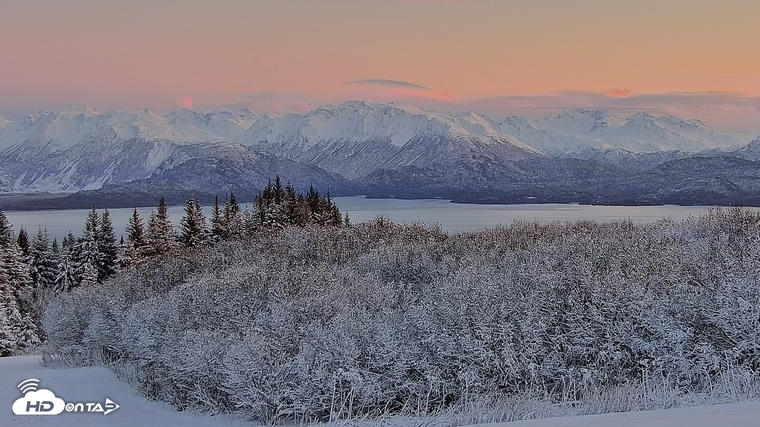 Snapshot of Inspiration Ridge - Homer Alaska Live Webcam taken Nov 22, 2025, 4:39pm AKST