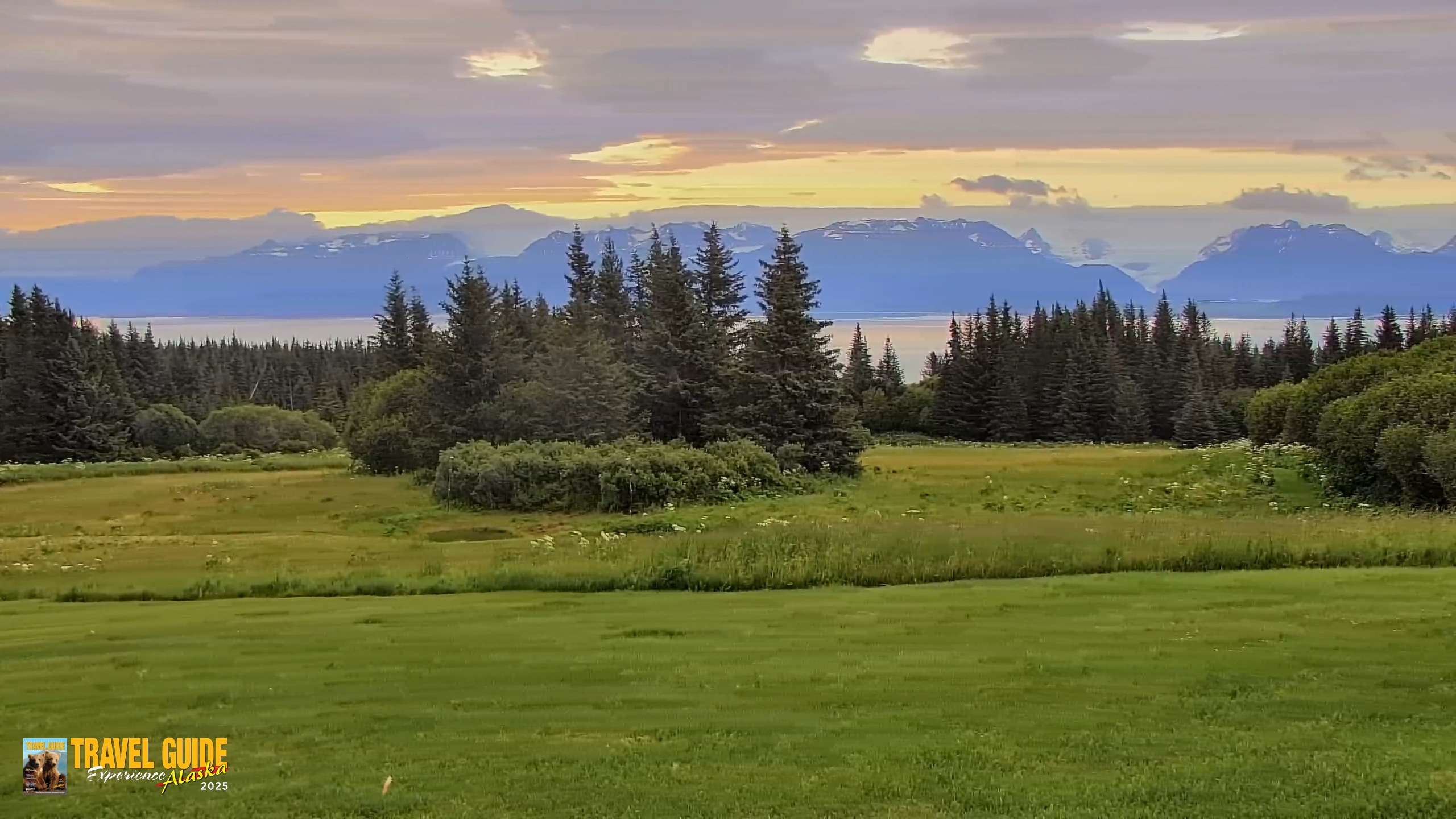 Snapshot of Inspiration Ridge - Homer Alaska Live Webcam taken Aug 3, 2026, 6:35am AKDT