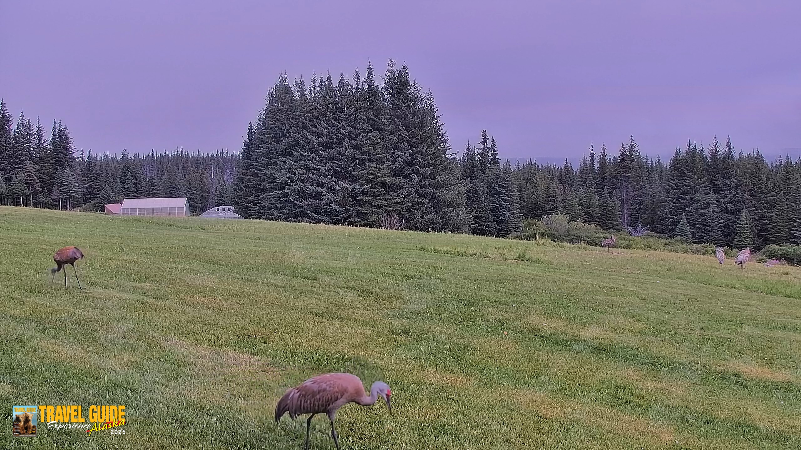 Snapshot of Inspiration Ridge - Homer Alaska Live Webcam taken Aug 21, 2026, 11:08am AKDT