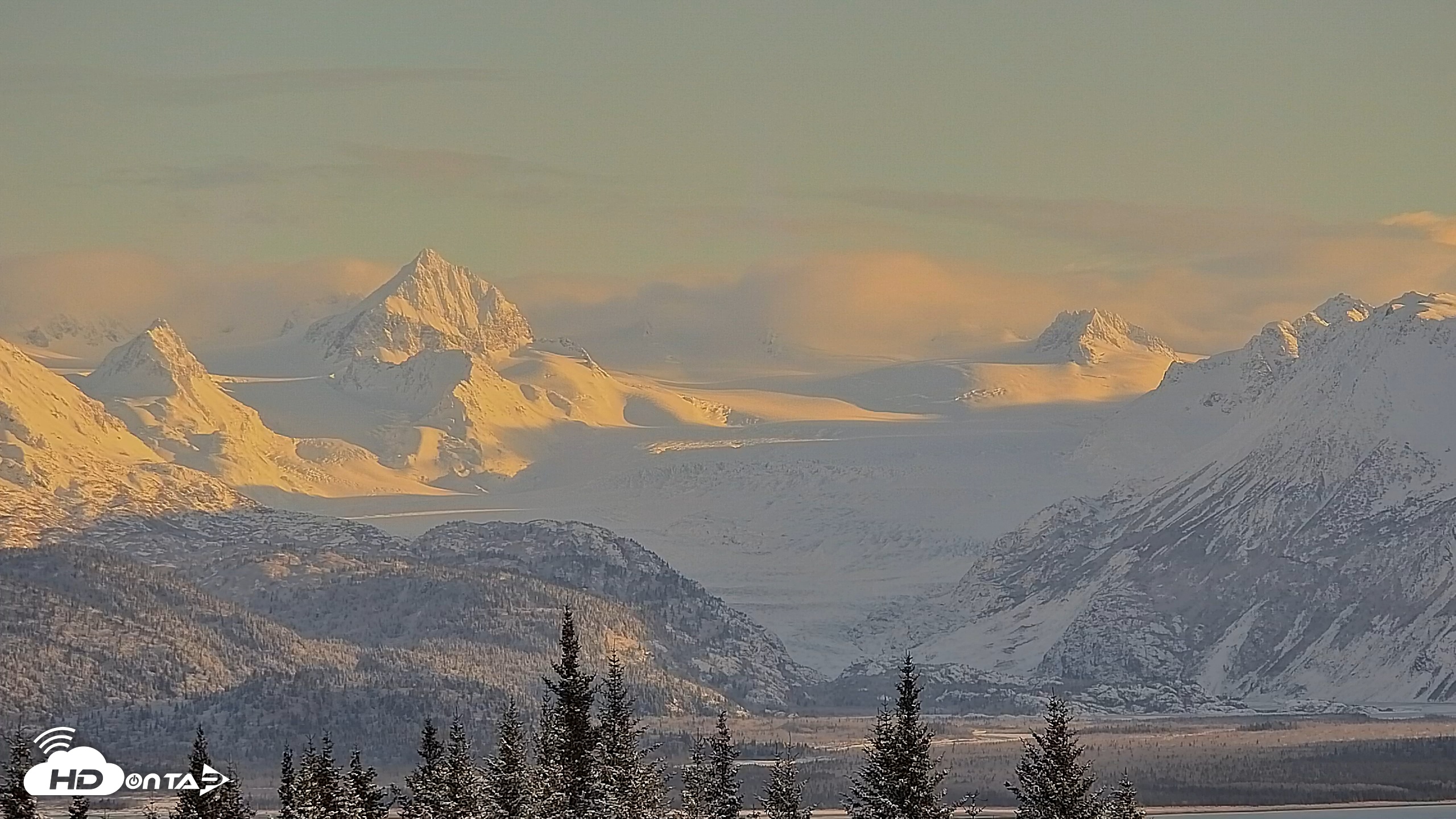 Snapshot of Inspiration Ridge - Homer Alaska Live Webcam taken Nov 22, 2025, 1:58pm AKST