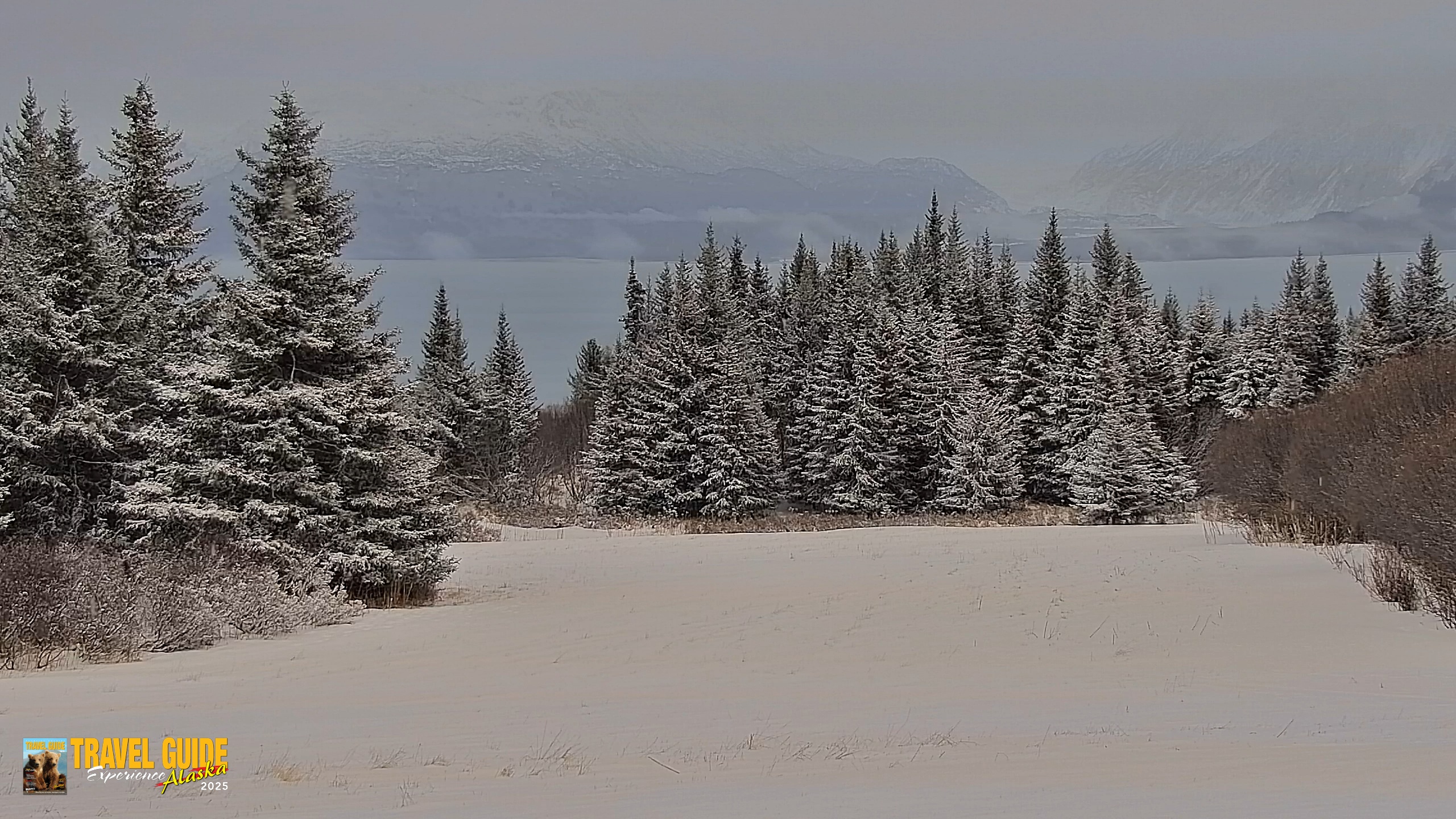 Snapshot of Inspiration Ridge - Homer Alaska Live Webcam taken Jan 5, 2026, 3:26pm AKST