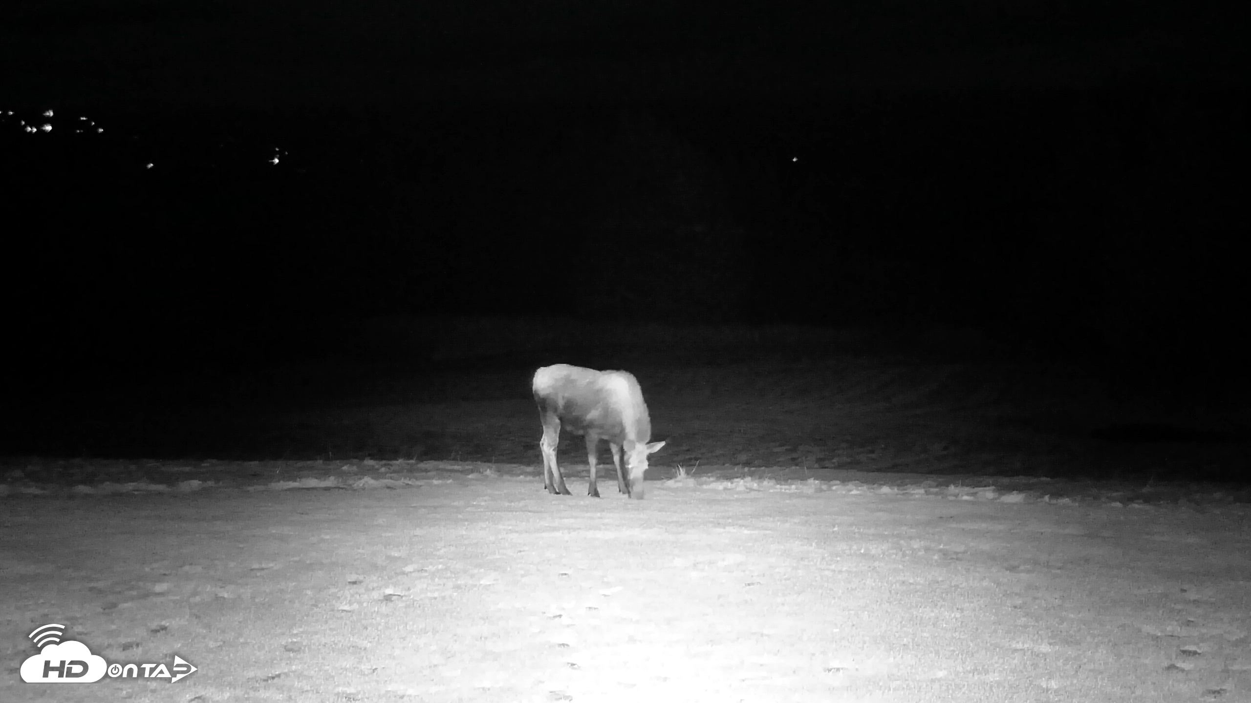 Snapshot of Inspiration Ridge - Homer Alaska Live Webcam taken Dec 7, 2025, 6:04pm AKST