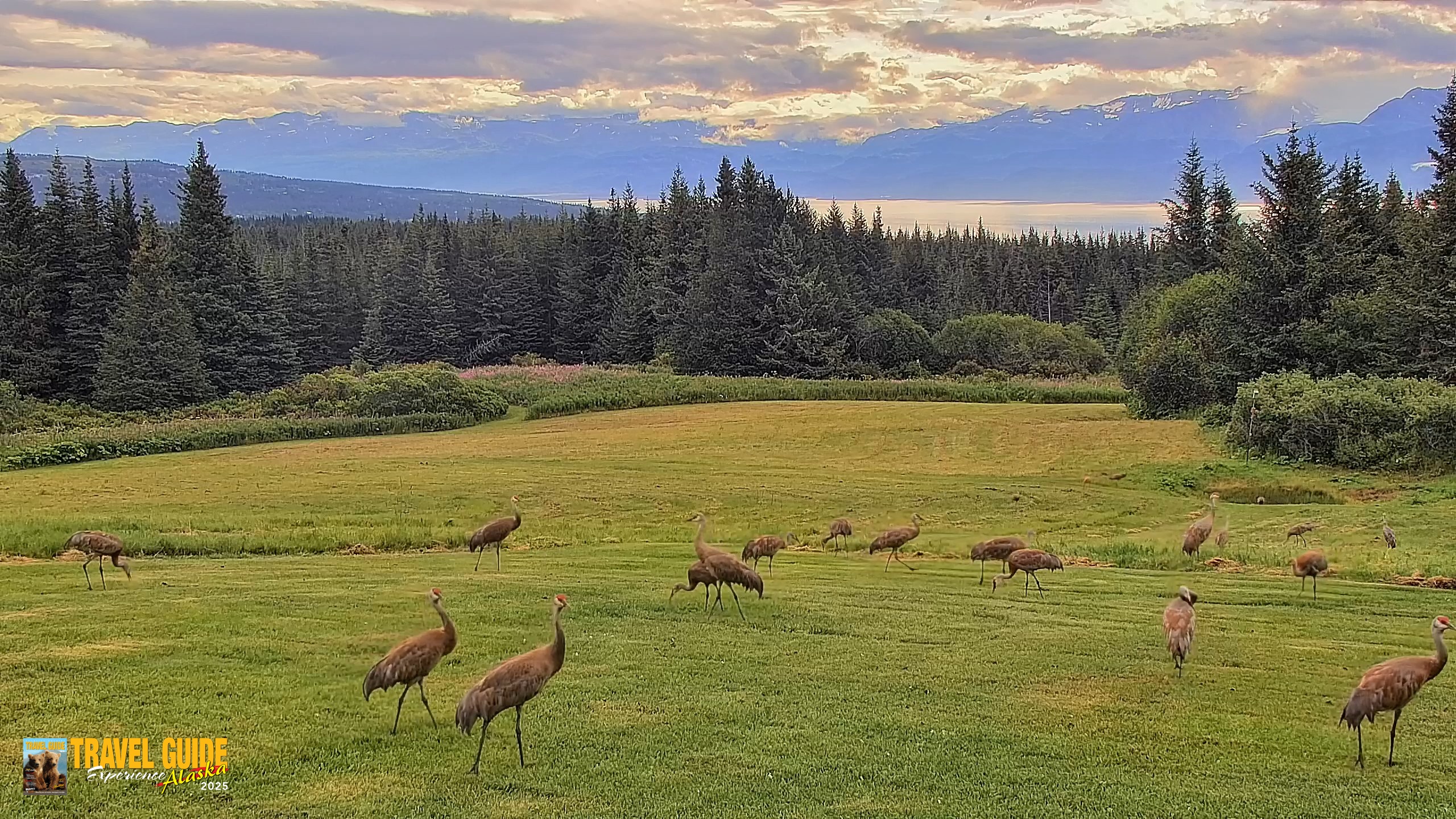 Snapshot of Inspiration Ridge - Homer Alaska Live Webcam taken Aug 20, 2026, 9:12am AKDT