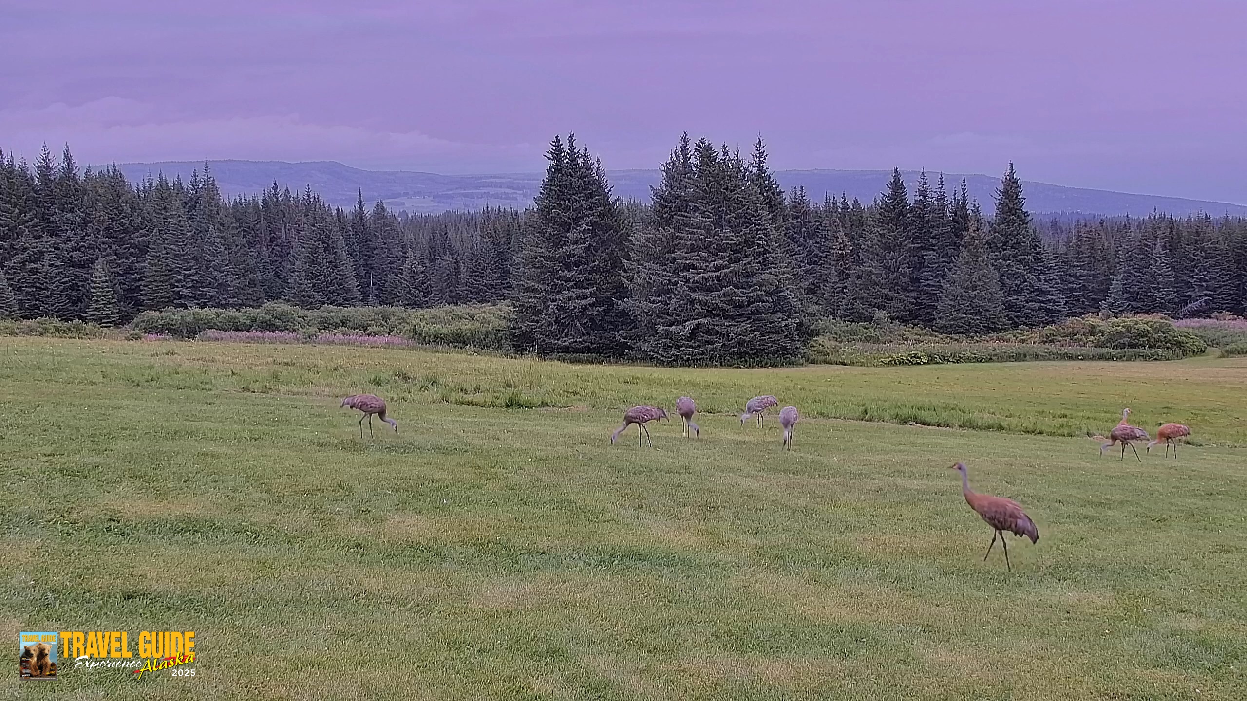 Snapshot of Inspiration Ridge - Homer Alaska Live Webcam taken Aug 24, 2026, 4:57pm AKDT