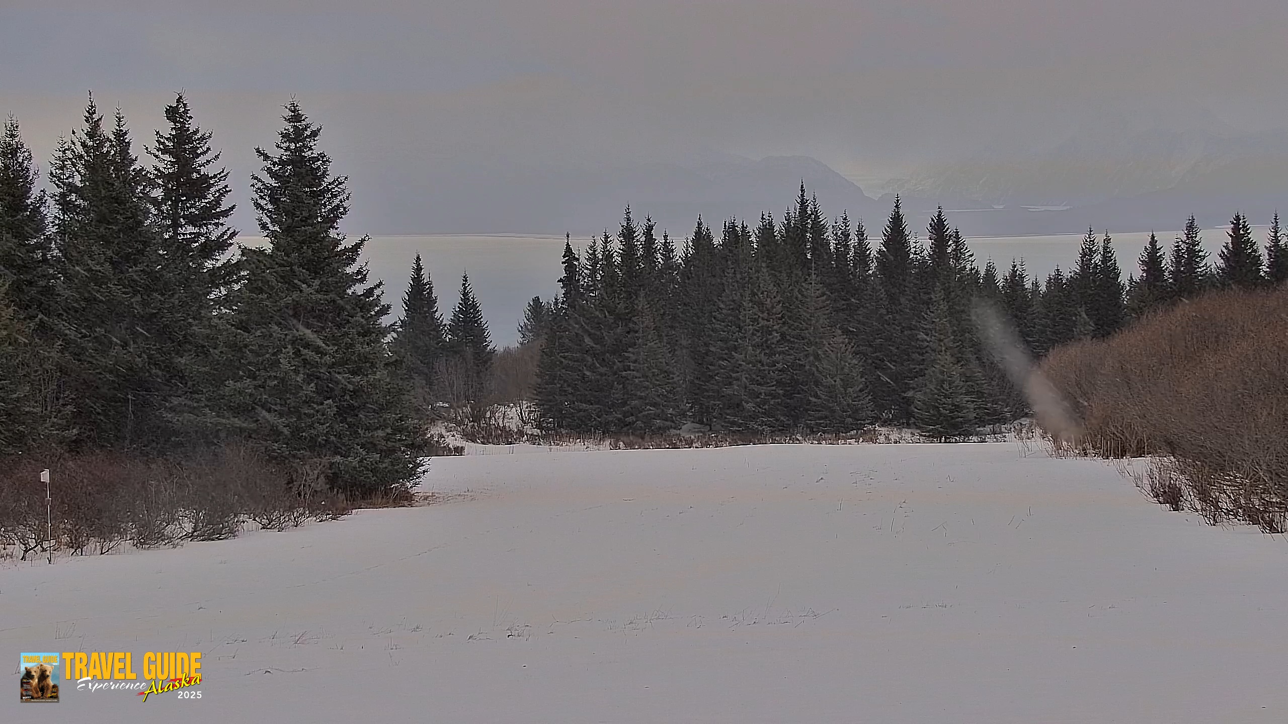 Snapshot of Inspiration Ridge - Homer Alaska Live Webcam taken Jan 17, 2026, 10:45am AKST