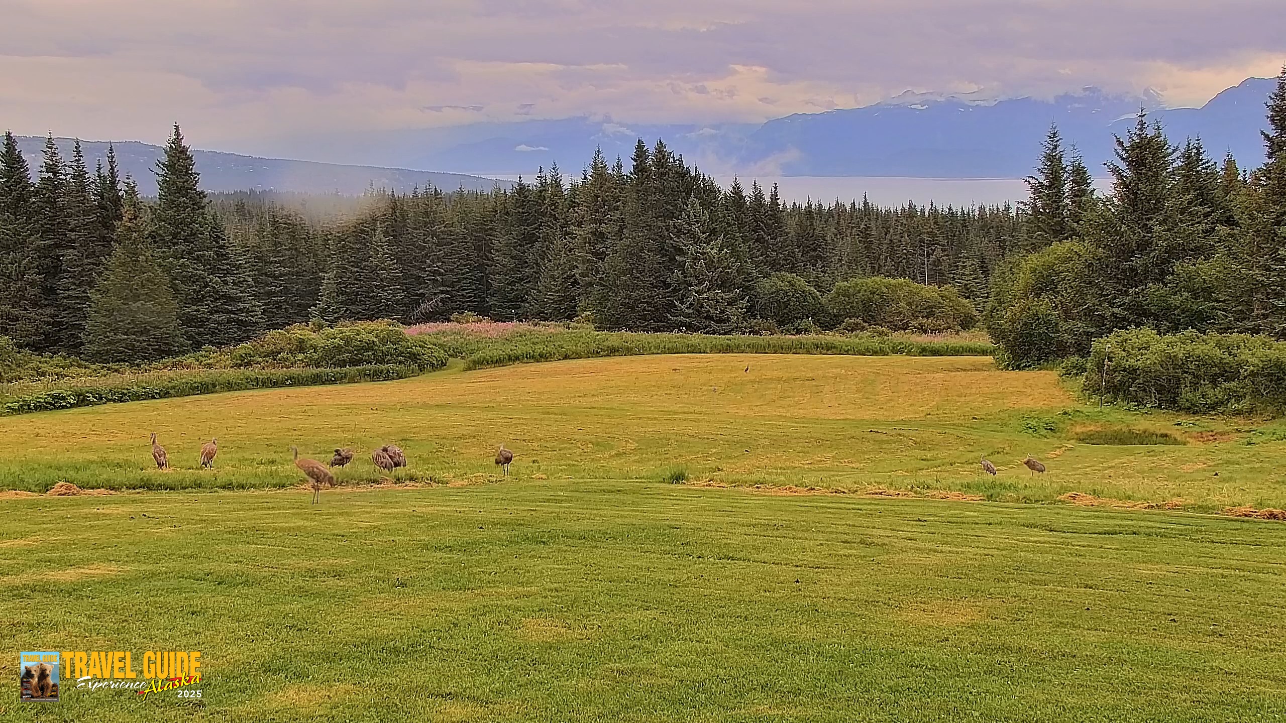 Snapshot of Inspiration Ridge - Homer Alaska Live Webcam taken Aug 19, 2026, 4:51pm AKDT