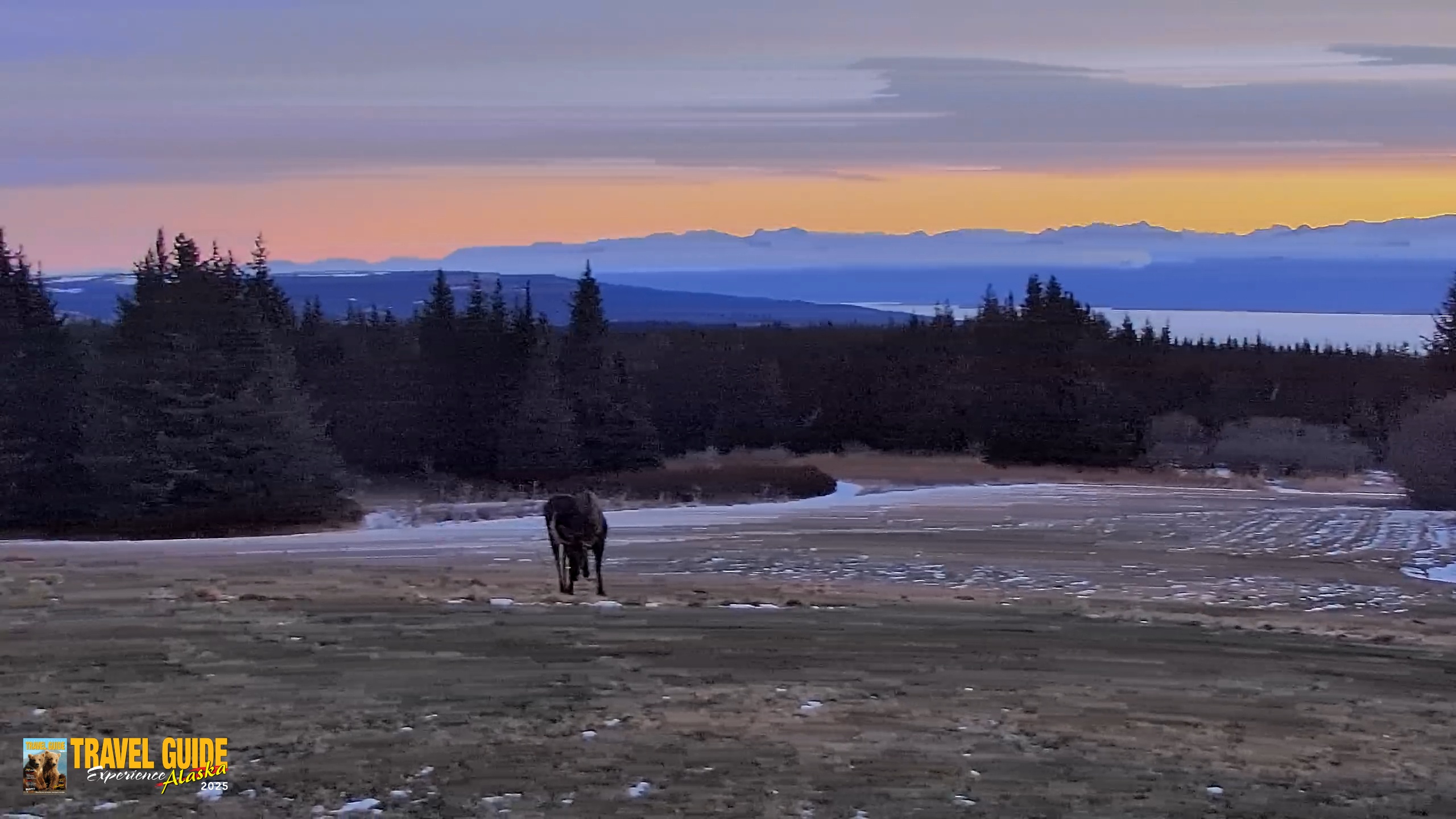 Snapshot of Inspiration Ridge - Homer Alaska Live Webcam taken Dec 19, 2025, 10:01am AKST