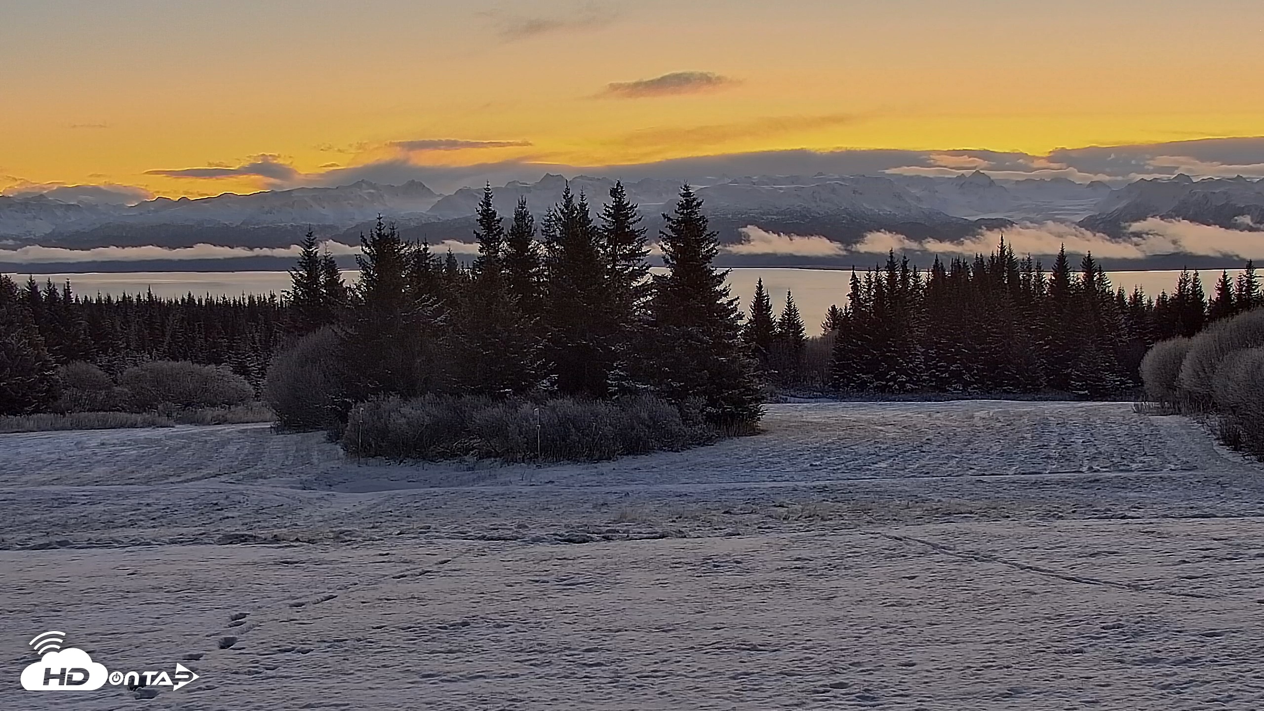 Snapshot of Inspiration Ridge - Homer Alaska Live Webcam taken Nov 8, 2025, 10:55am AKST