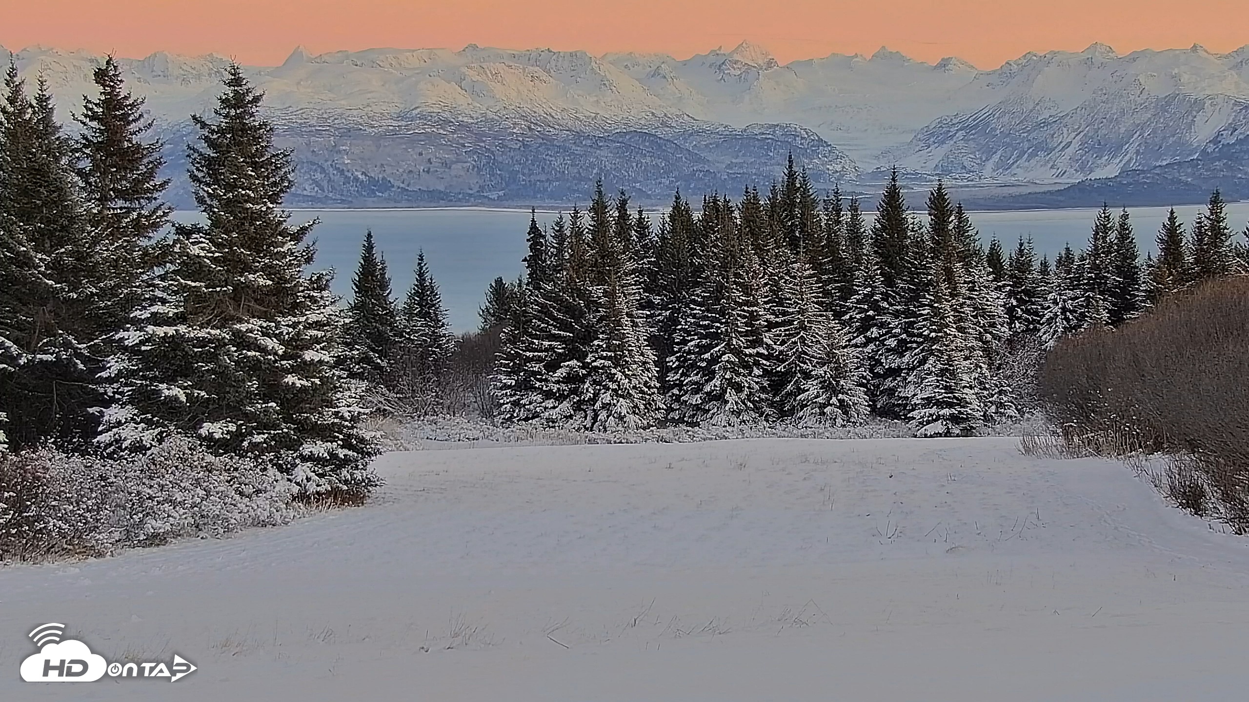 Snapshot of Inspiration Ridge - Homer Alaska Live Webcam taken Nov 24, 2025, 4:50pm AKST