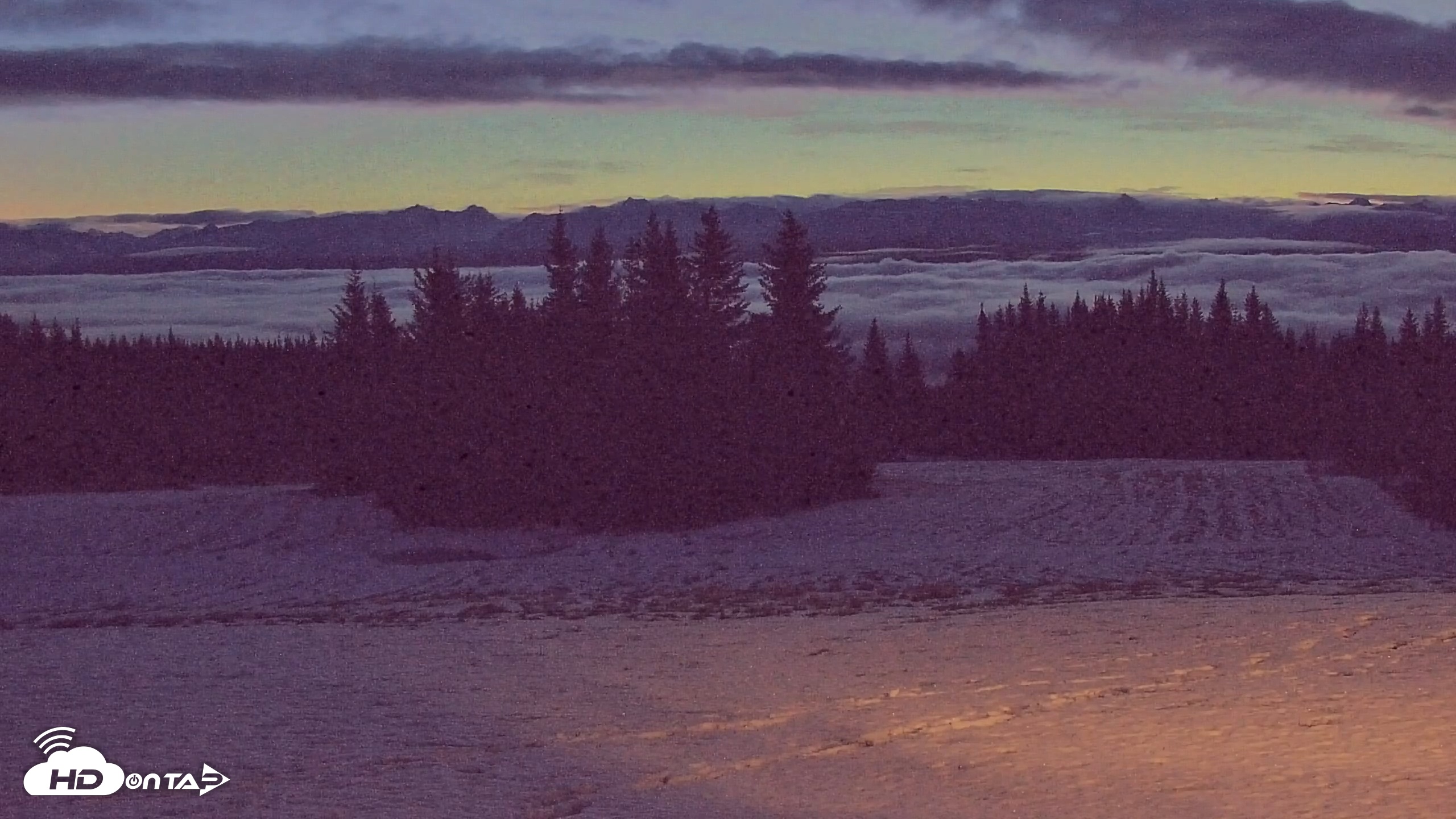 Snapshot of Inspiration Ridge - Homer Alaska Live Webcam taken Nov 28, 2025, 8:10am AKST