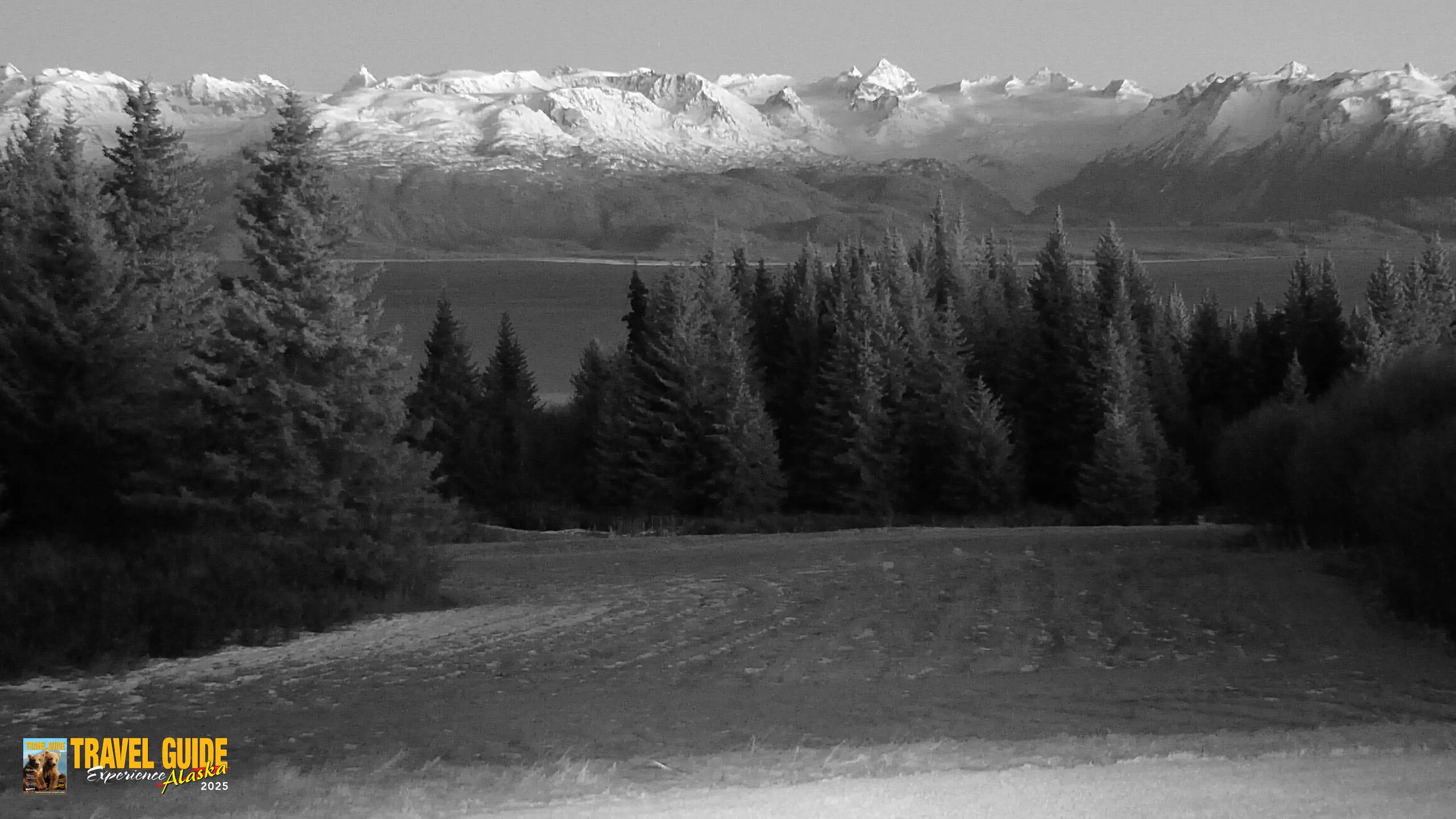 Snapshot of Inspiration Ridge - Homer Alaska Live Webcam taken Dec 21, 2025, 5:19pm AKST