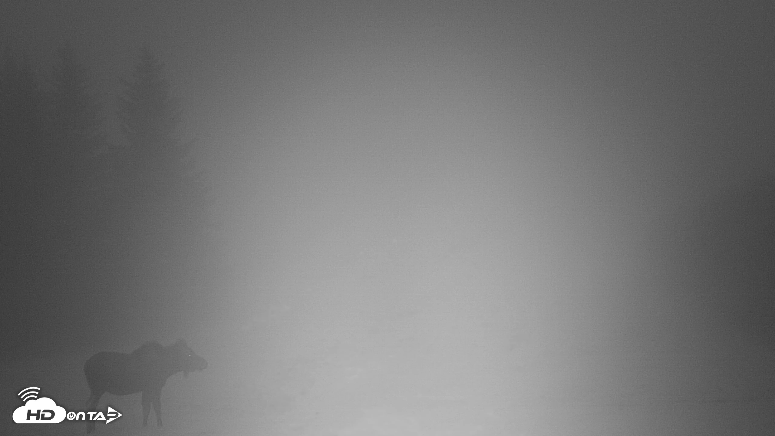 Snapshot of Inspiration Ridge - Homer Alaska Live Webcam taken Nov 1, 2025, 8:27pm AKDT