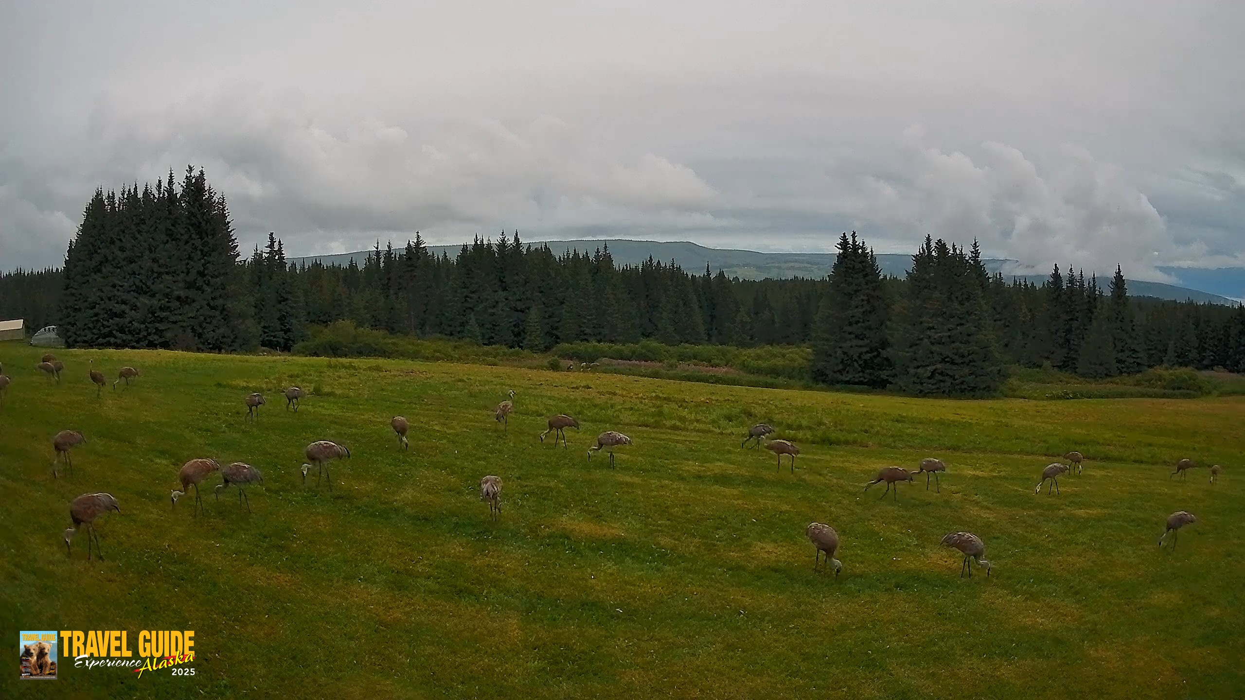 Snapshot of Inspiration Ridge - Homer Alaska Live Webcam taken Aug 22, 2026, 8:25pm AKDT