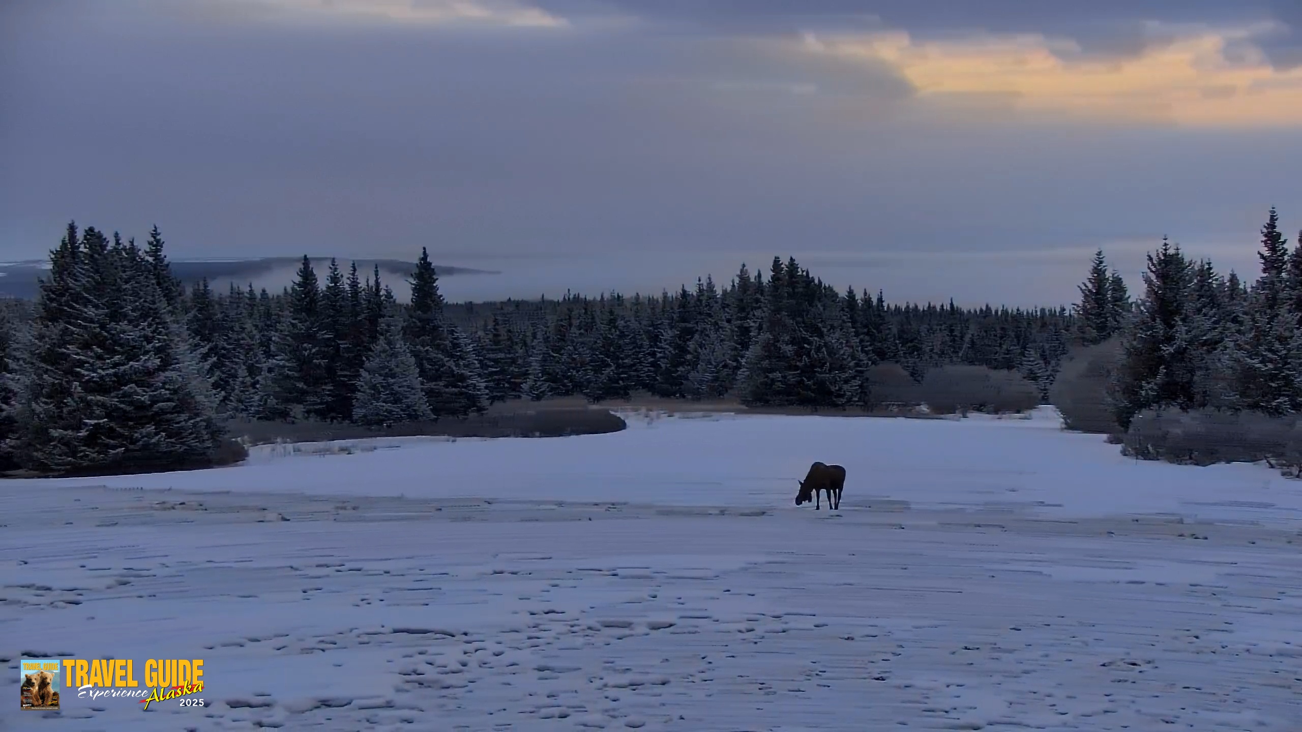 Snapshot of Inspiration Ridge - Homer Alaska Live Webcam taken Apr 5, 2026, 7:35am AKDT
